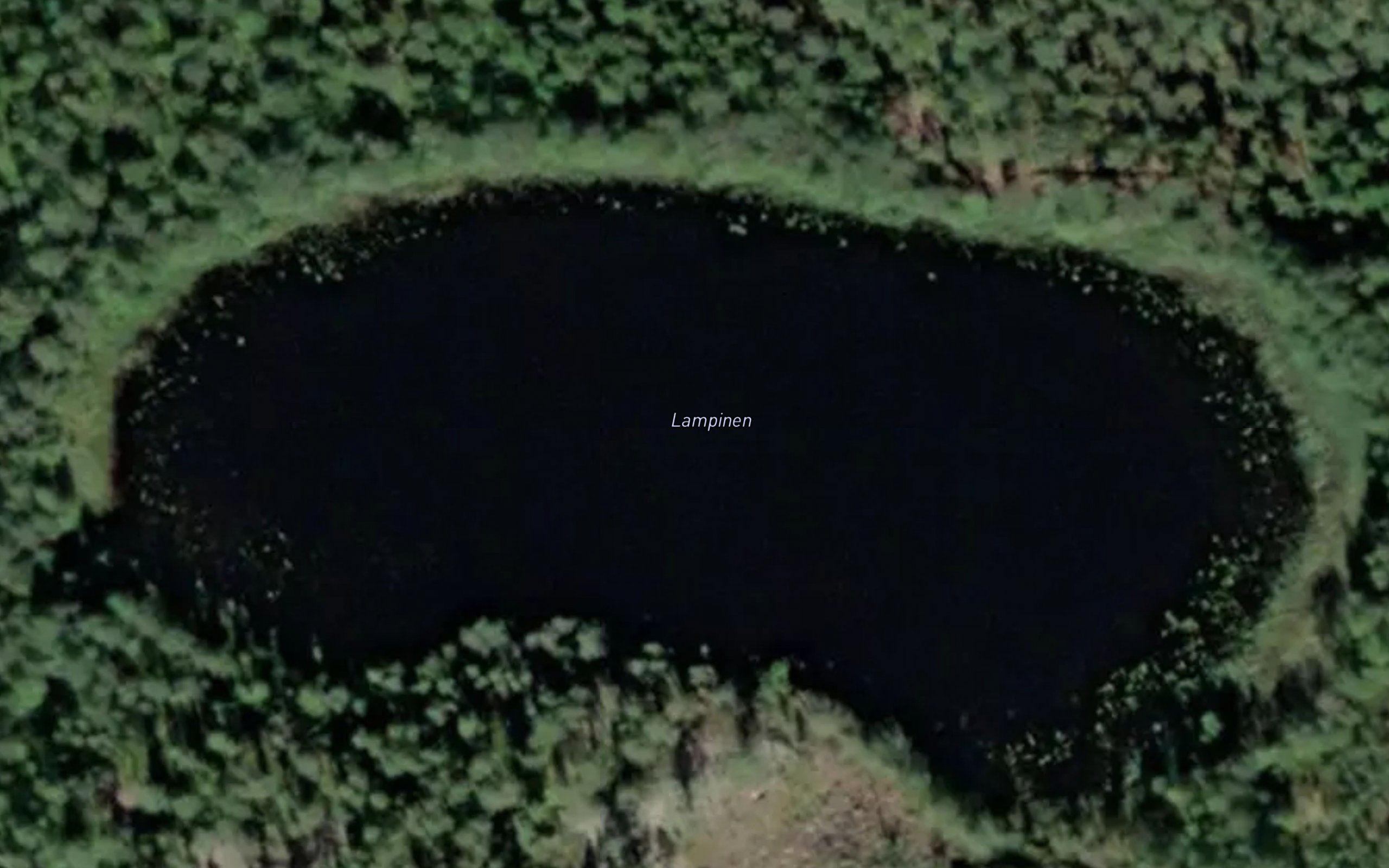 Lampinen