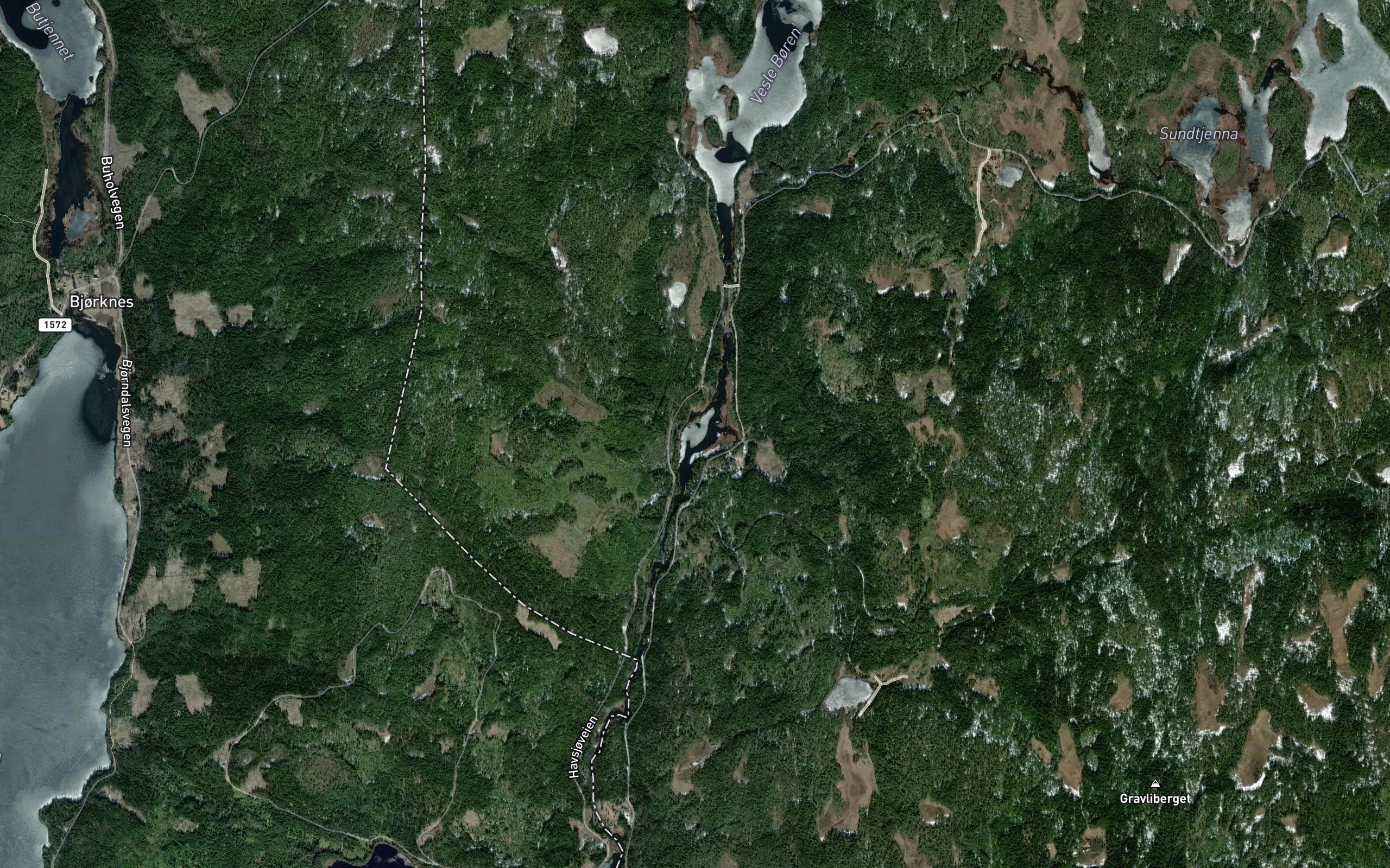Breidfloyta