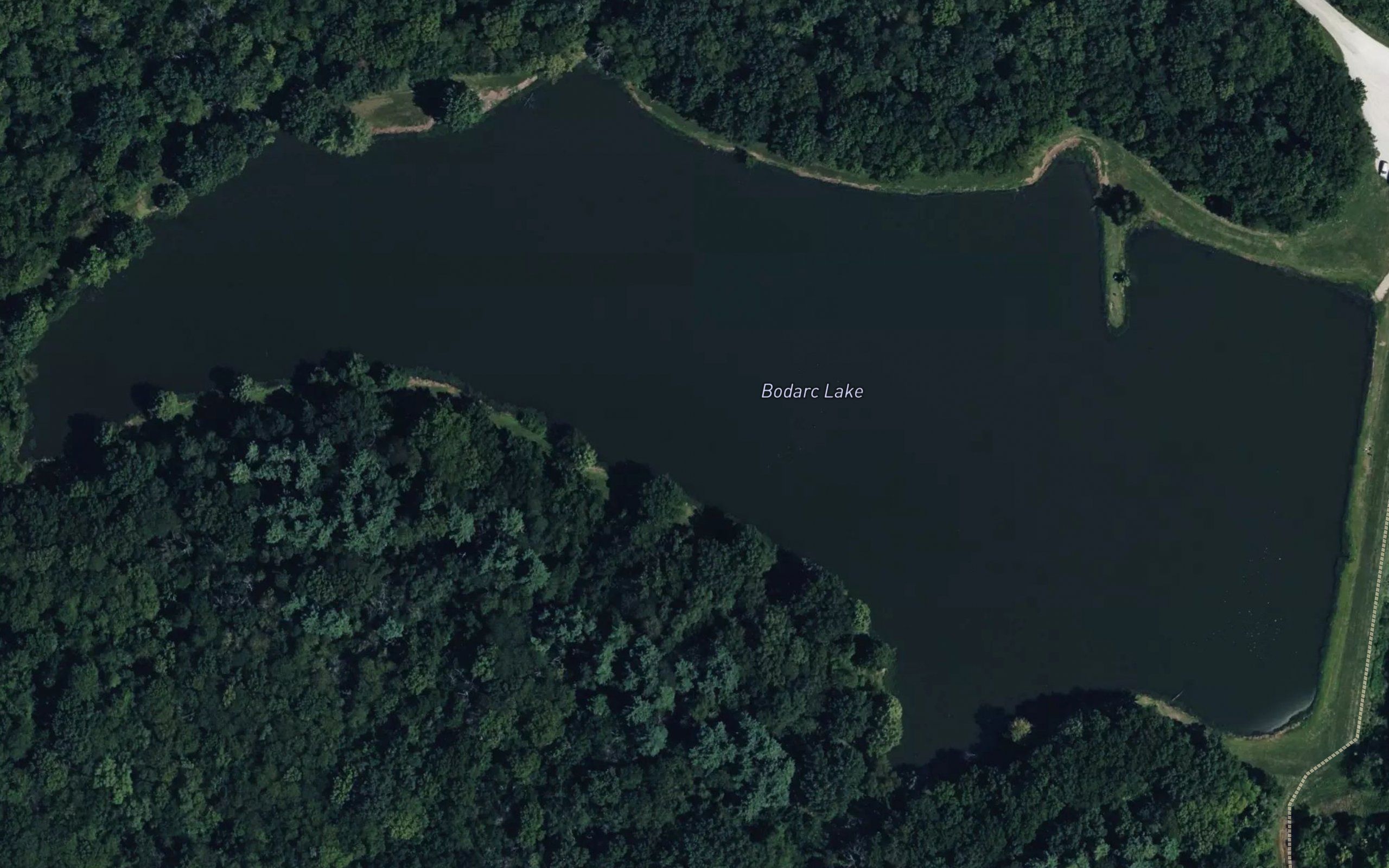 Reed Area Number 9 Lake