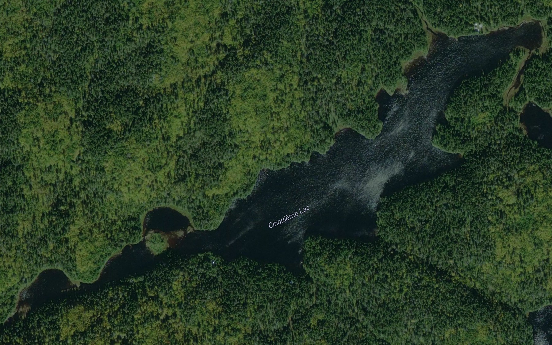 Satellite map of the Cinquieme Lac
