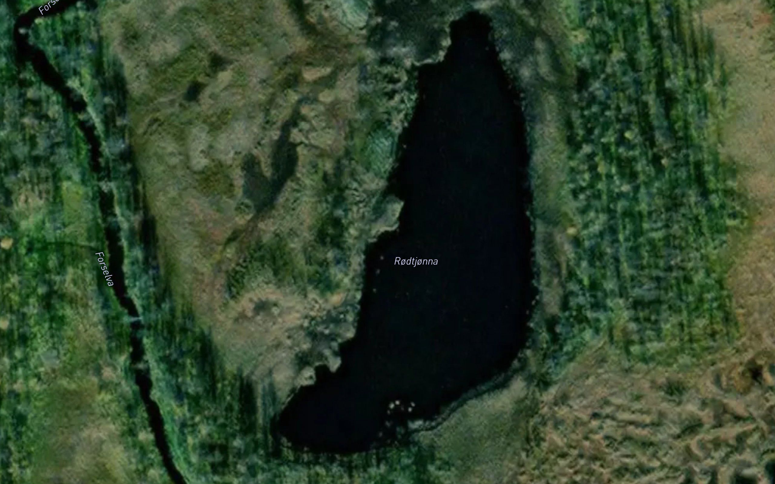 Rodtjonna