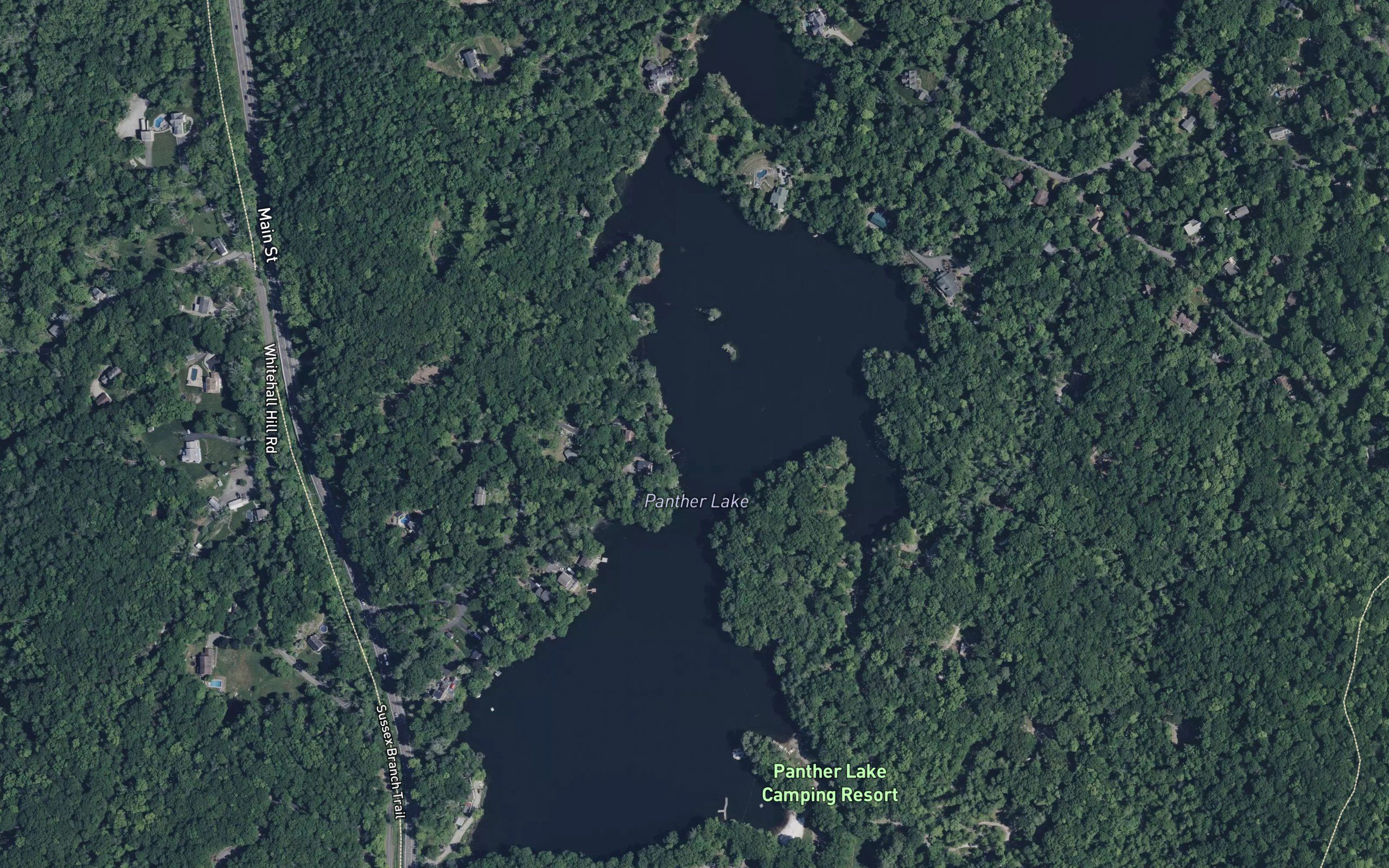 Panther Lake