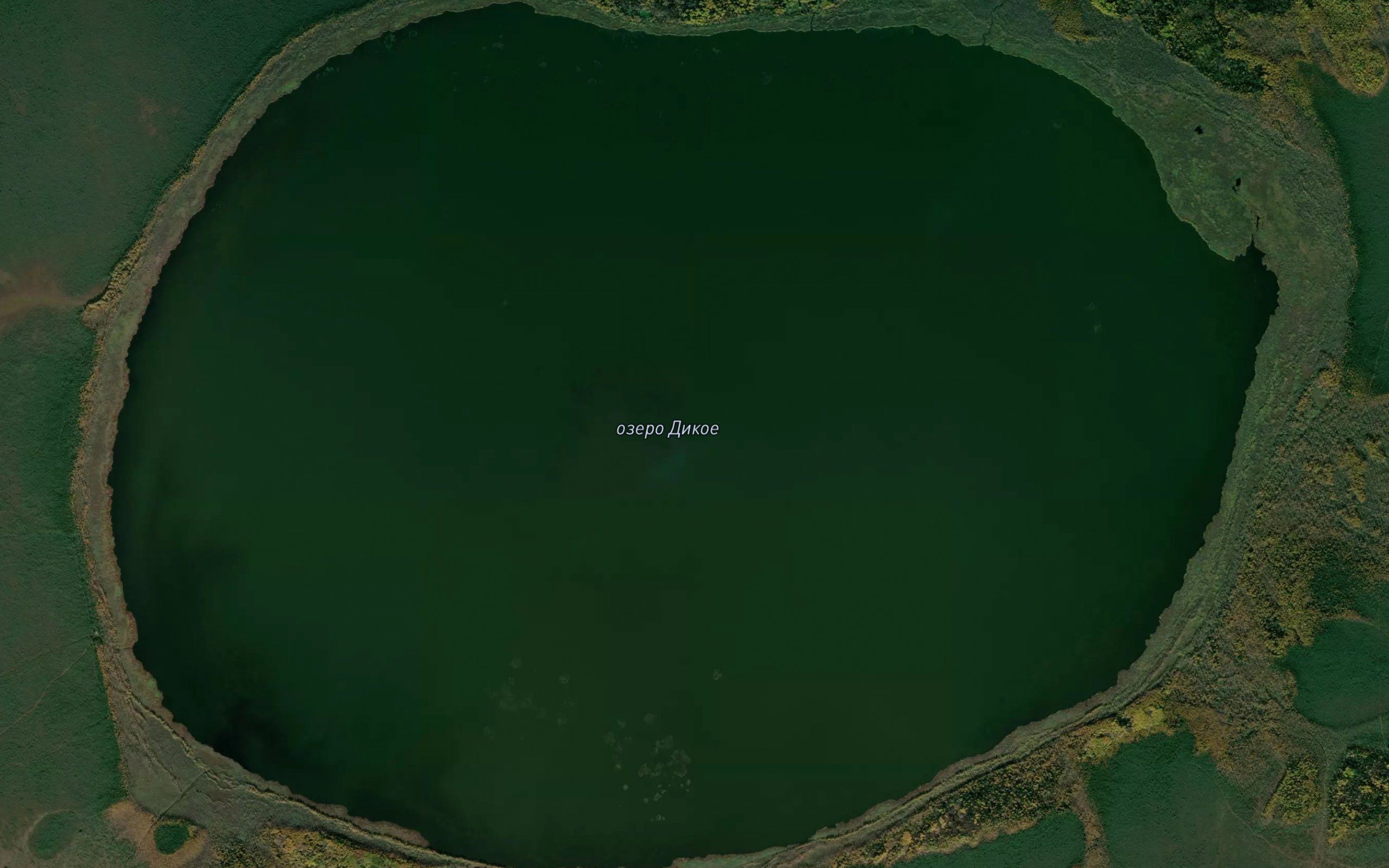 Ozero Dikoye