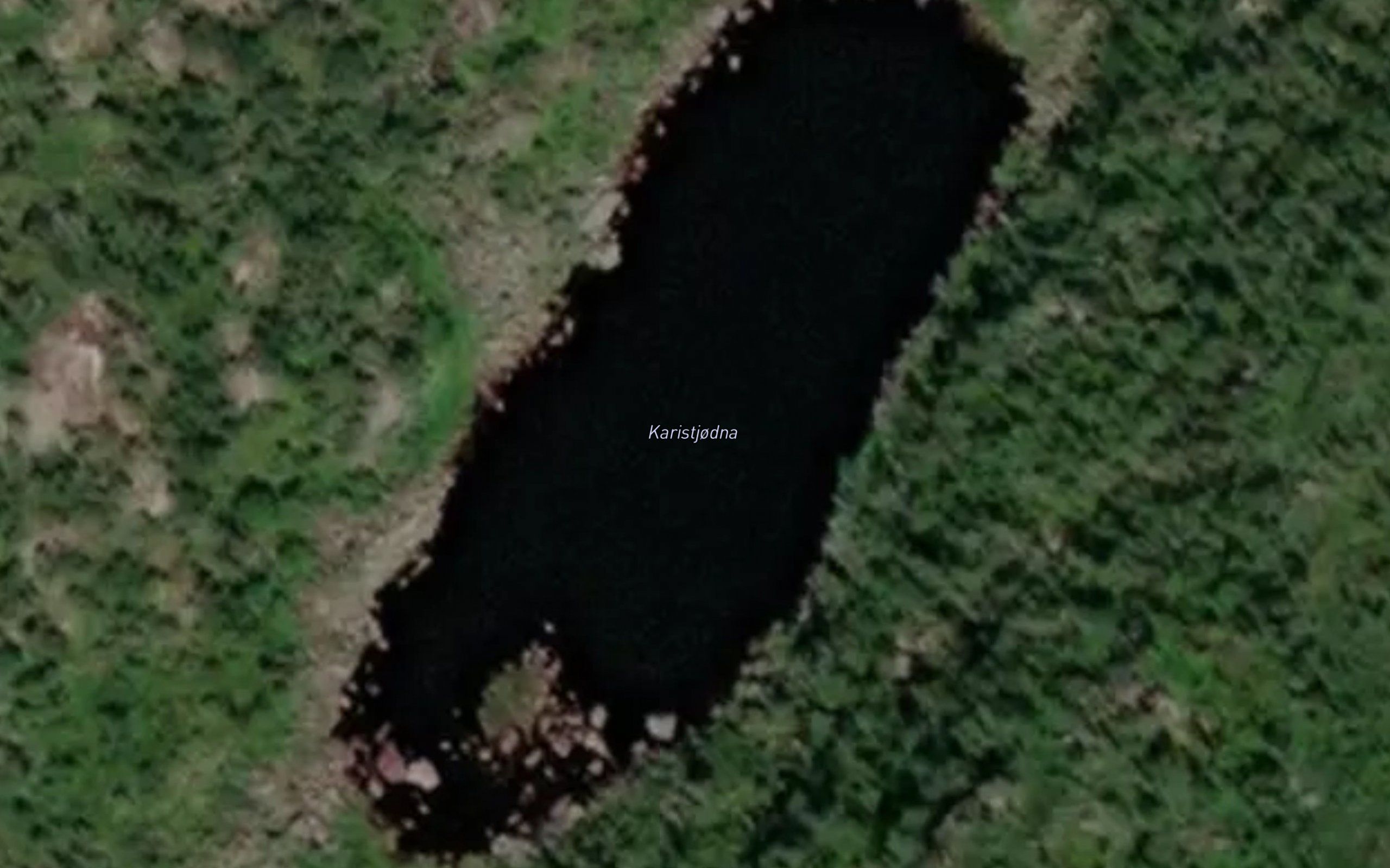 Karistjodna