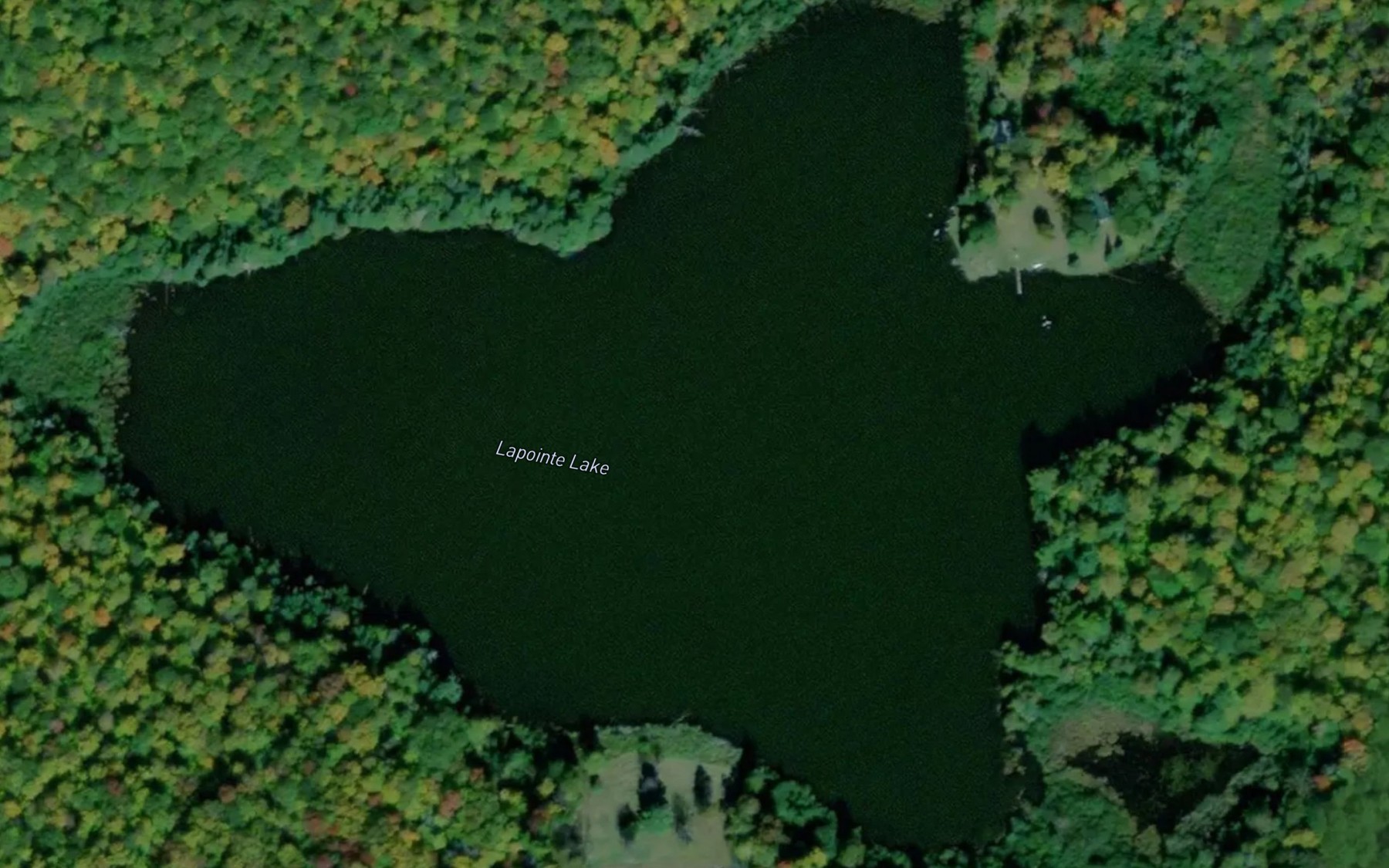 Satellite map of the Lapointe Lake