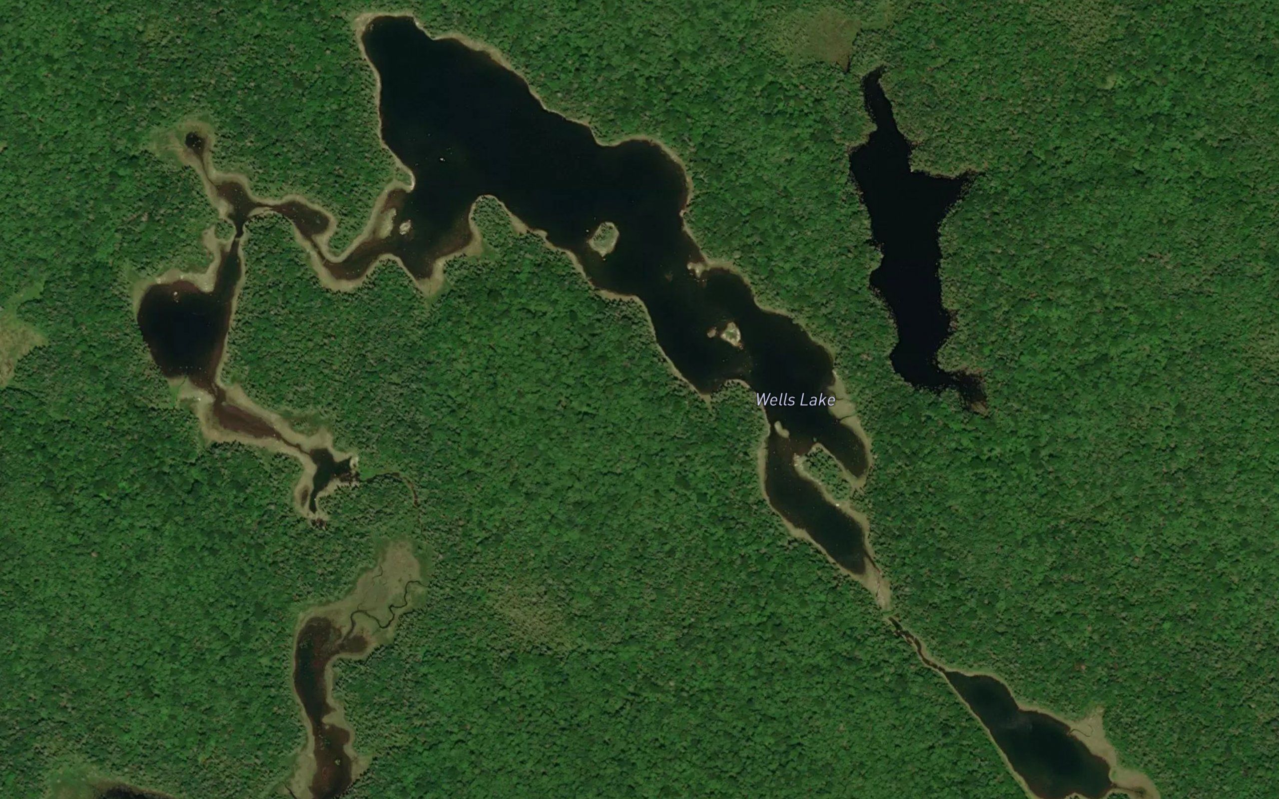 Wells Lake