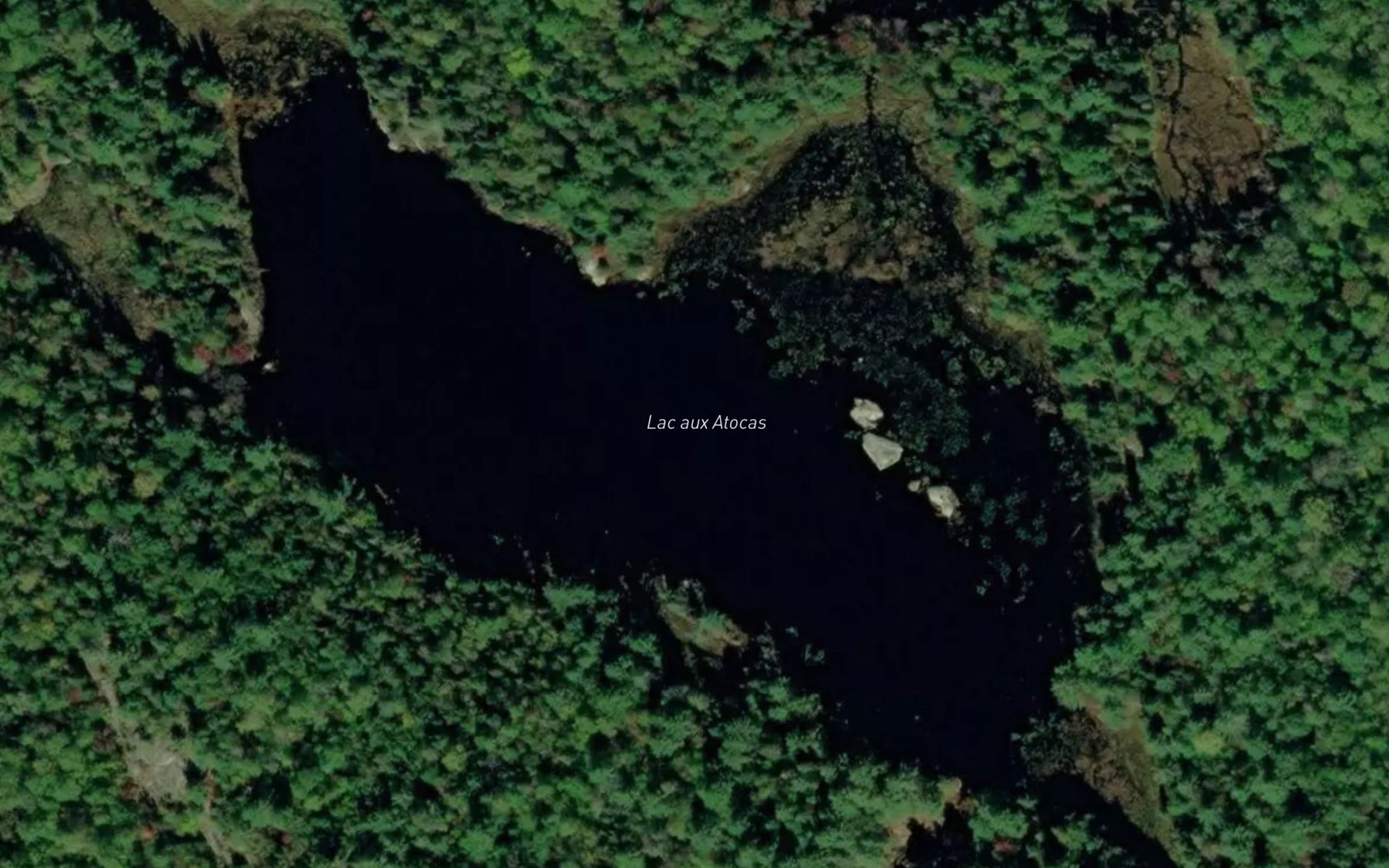 Satellite map of the Lac aux Atocas