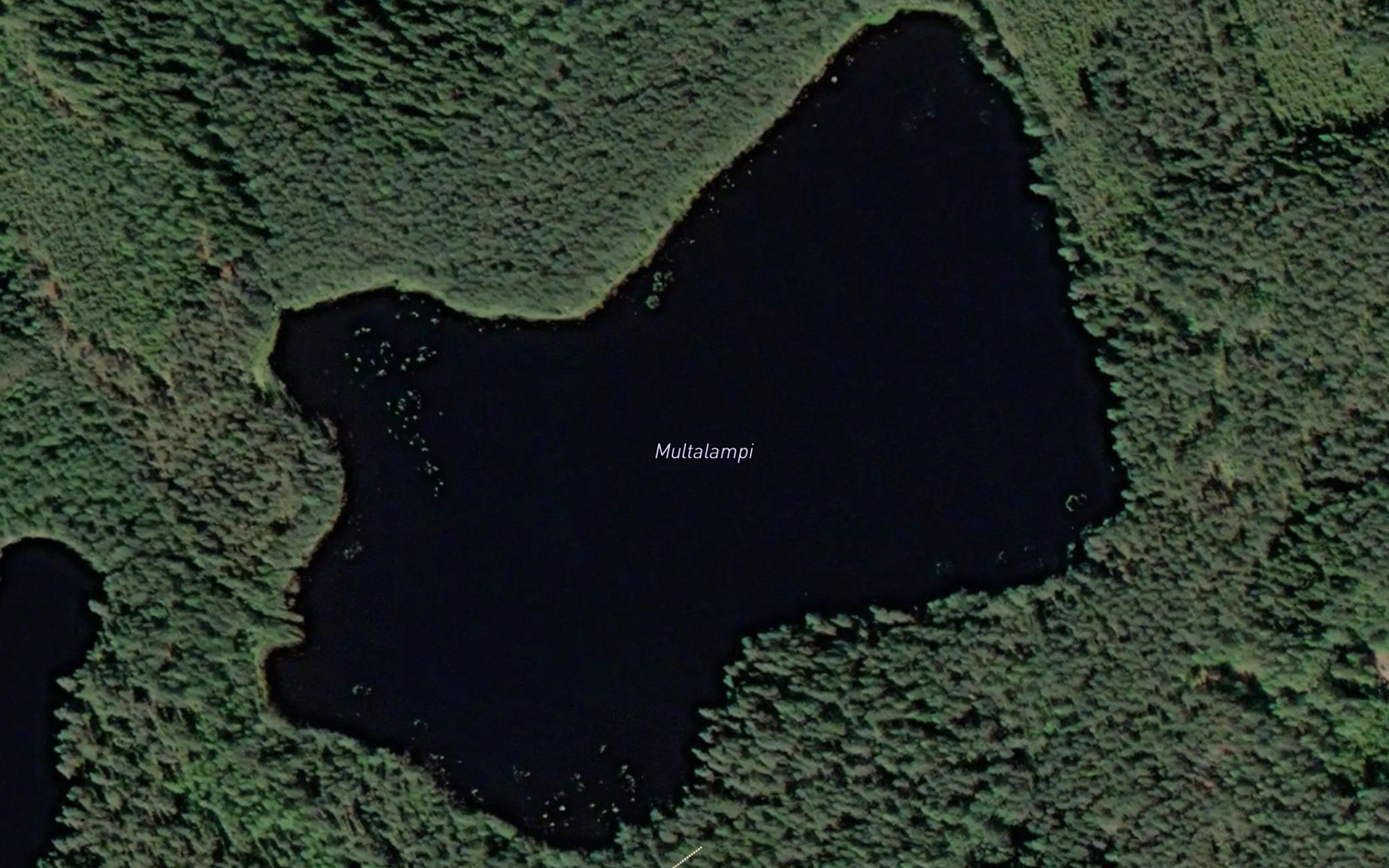 Multalampi