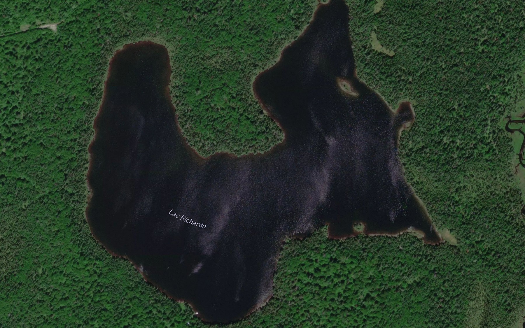 Satellite map of the Lac Richardo