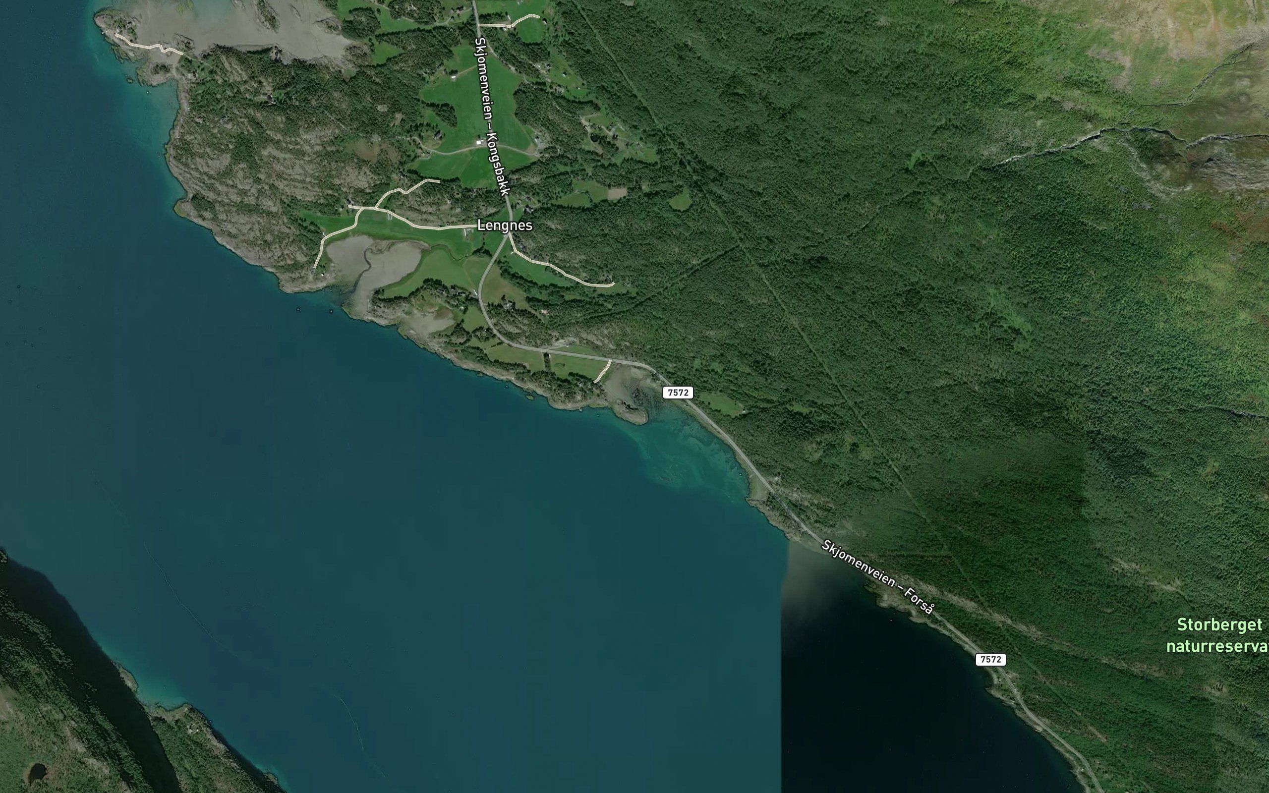 Tommervika