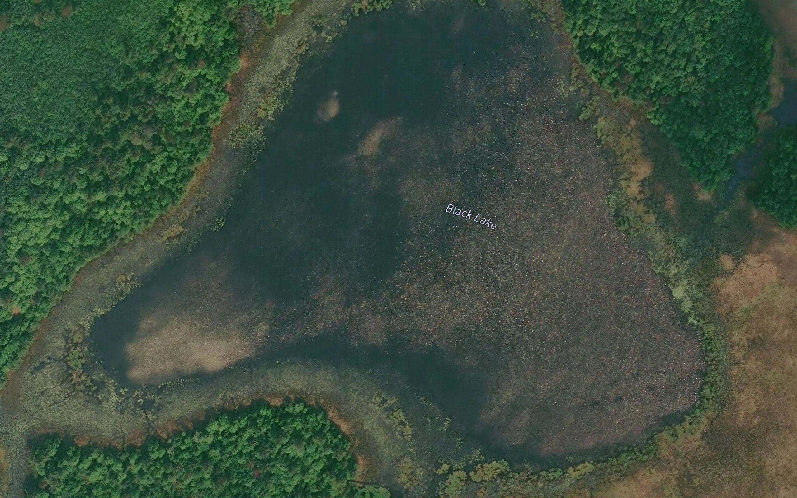 Black Lake
