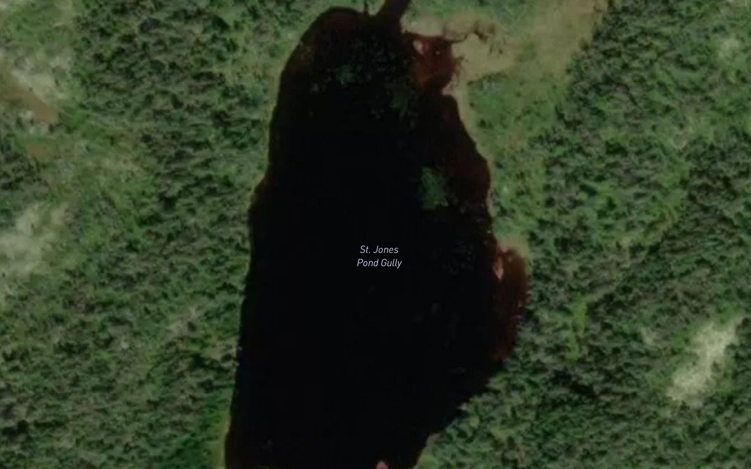 St. Jones Pond
