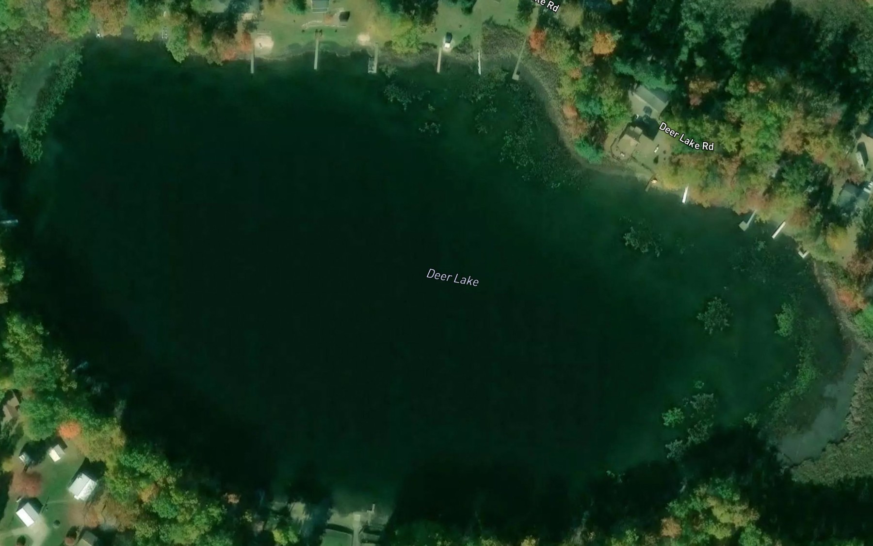 Satellite map of the Deer Lake