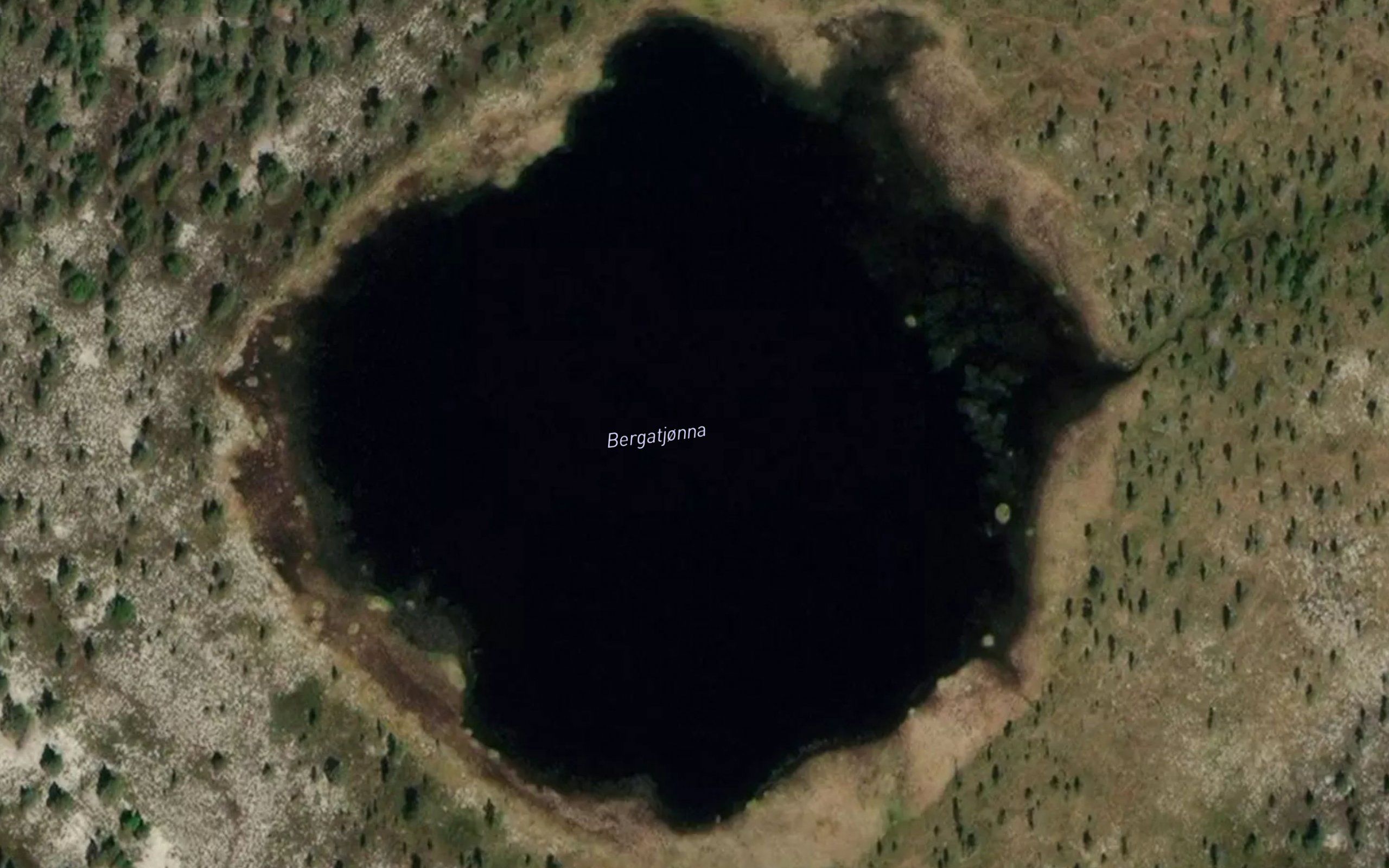 Bergetjonna