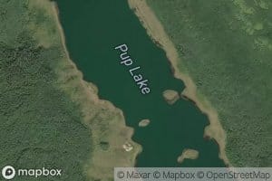 Pup Lake