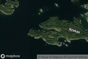 Krokgloet