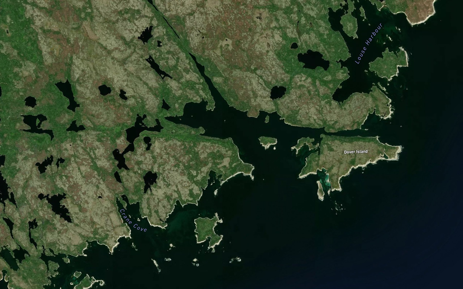 Satellite map of the Northeast Arm
