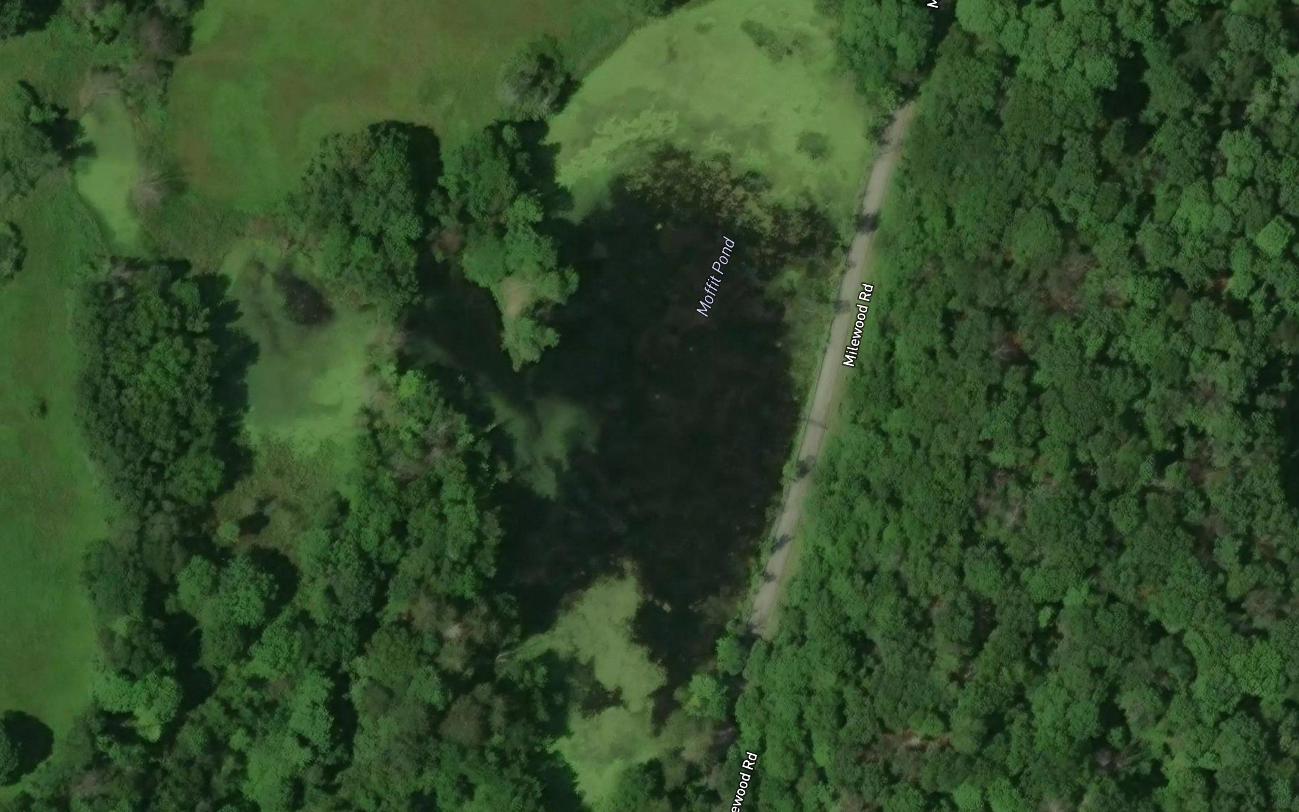 Moffit Pond