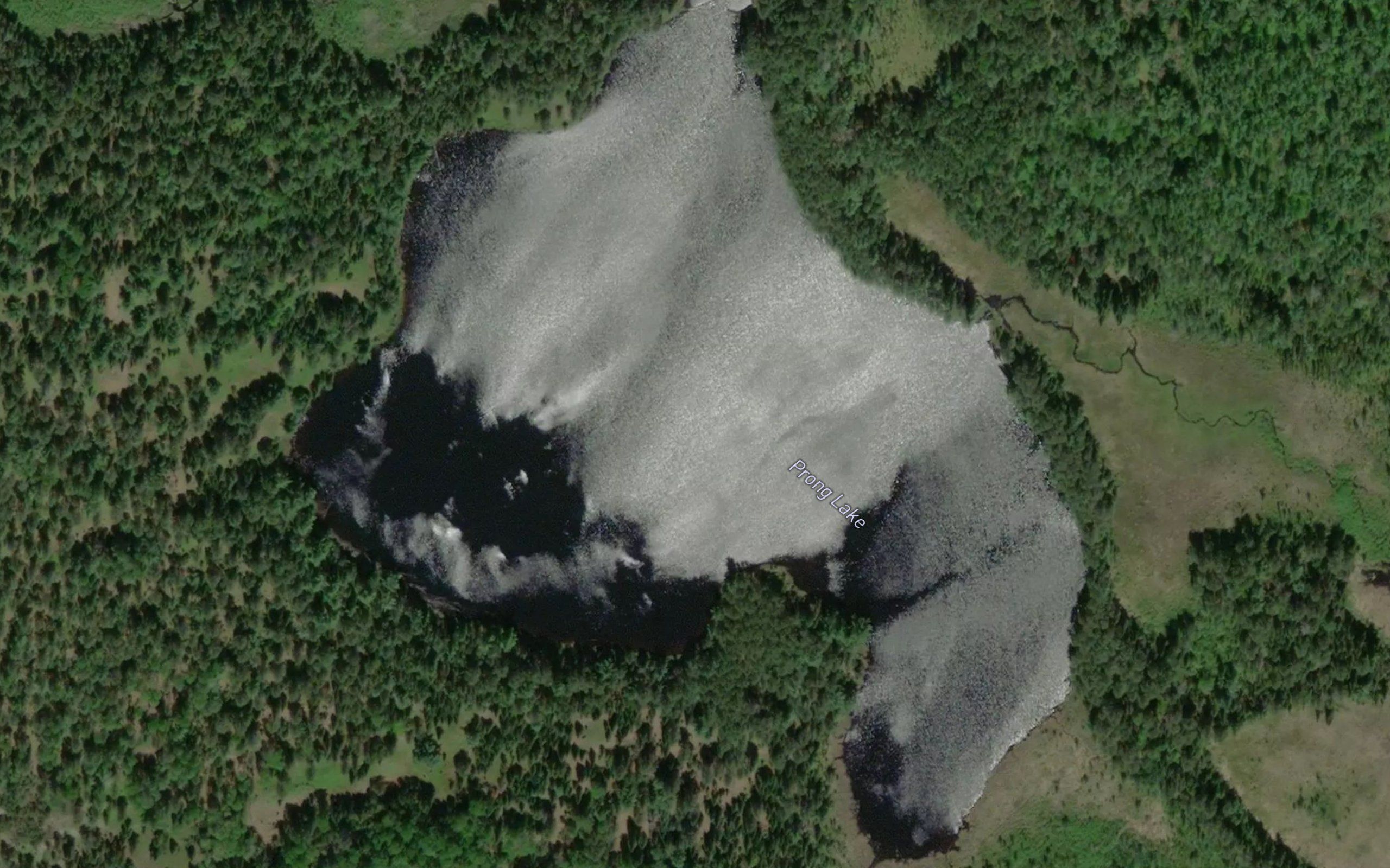 Prong Lake