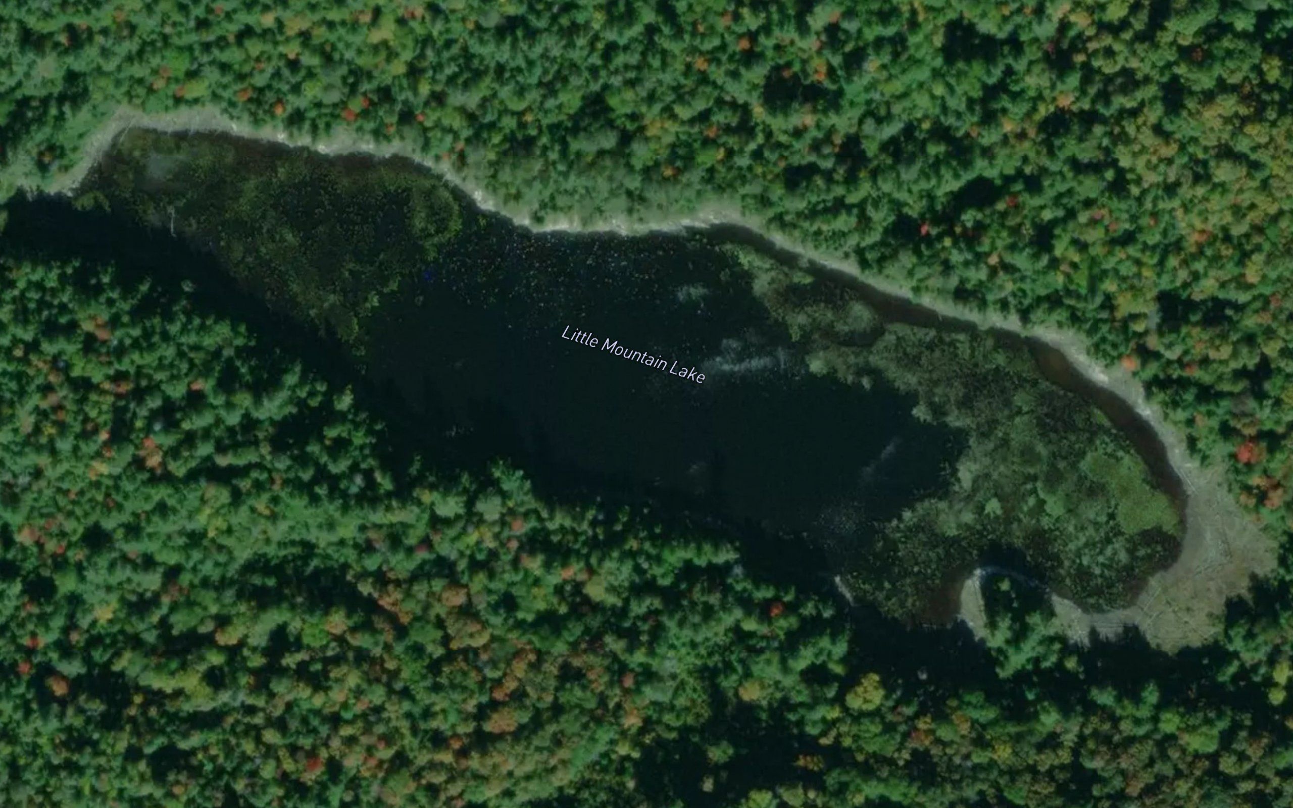 Little Mountain Lake