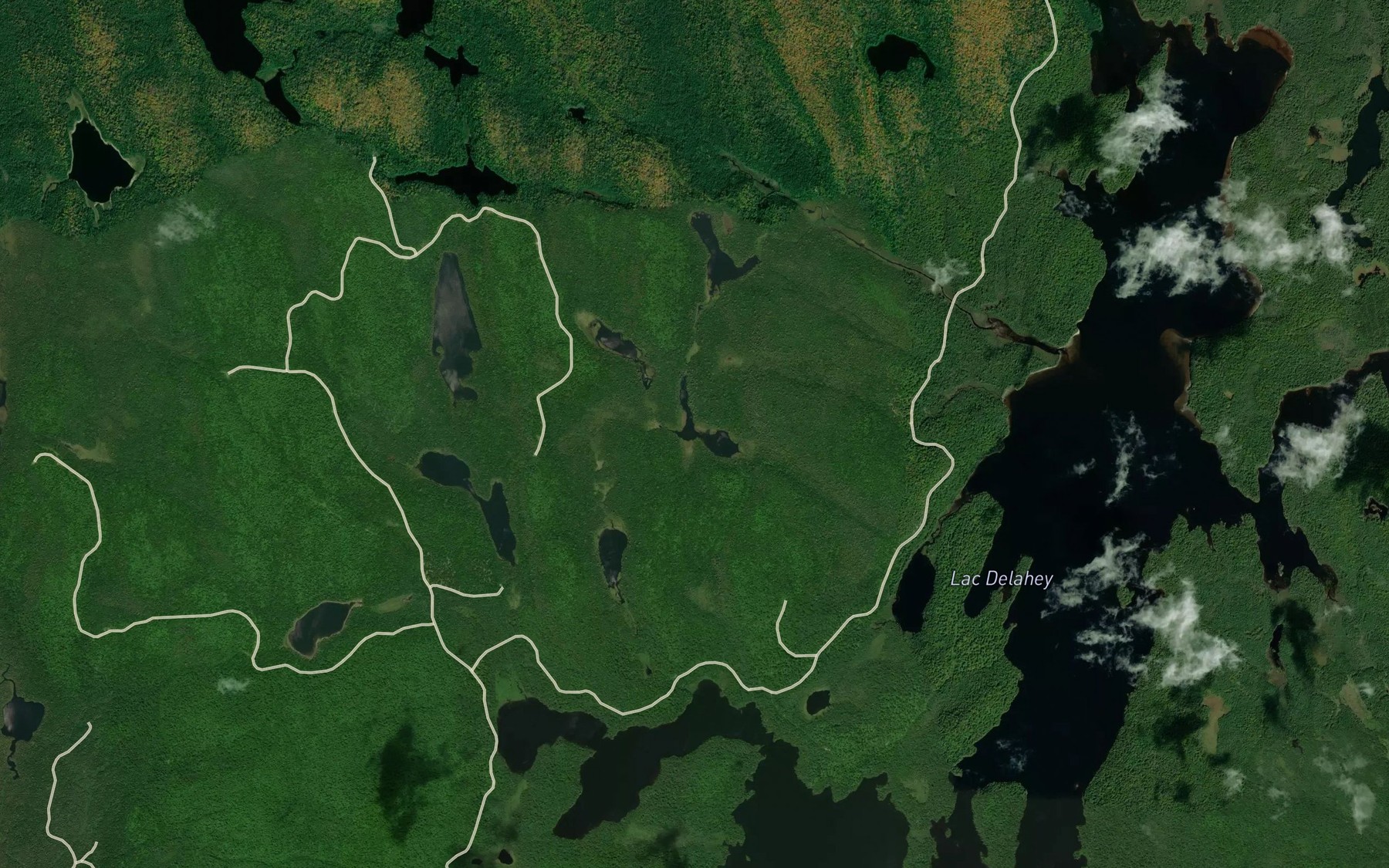 Satellite map of the Lac Michel