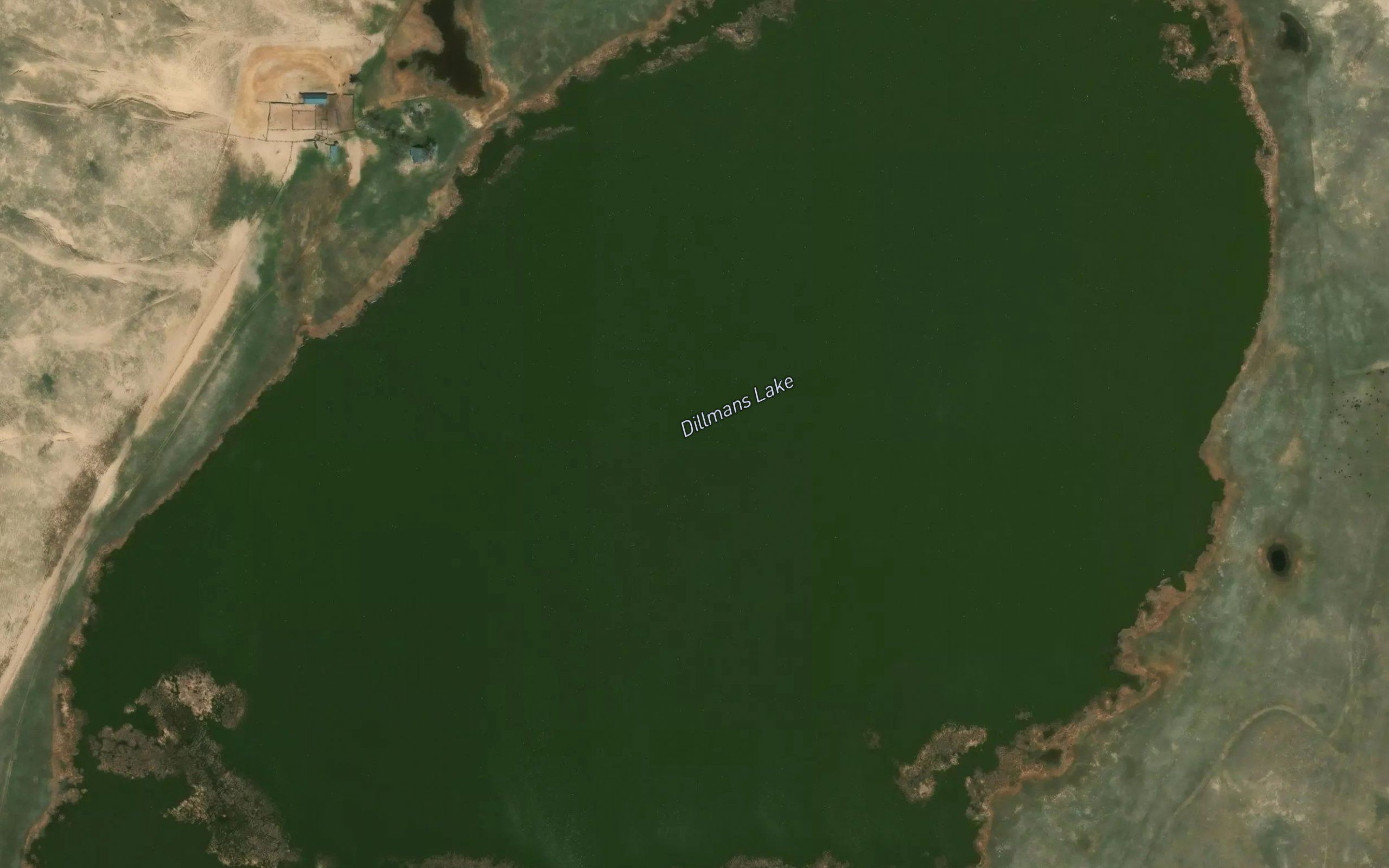 Dillmans Lake