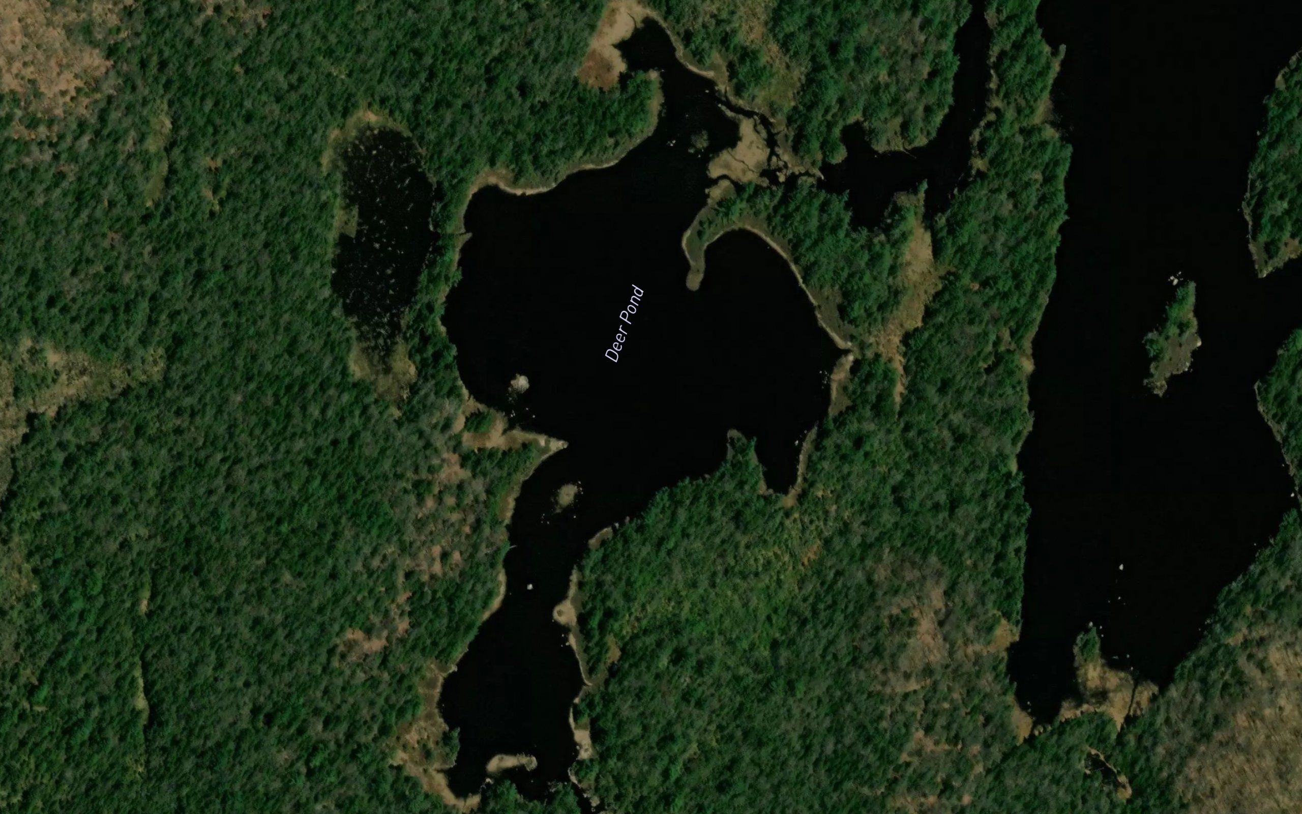 Deer Pond