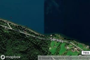 Stokkevika