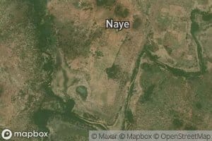 Naye