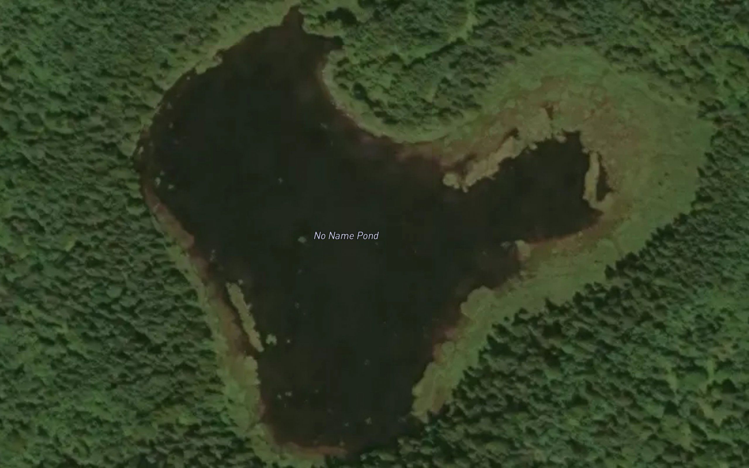 No Name Pond