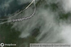 Steigeelvi