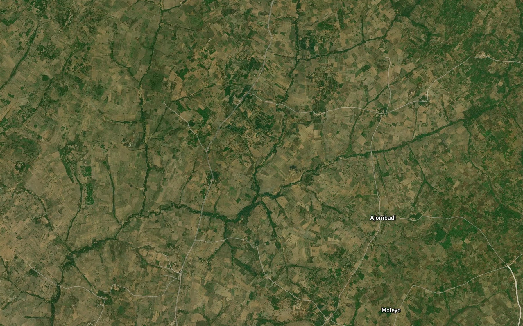 Satellite map of the River Dongi