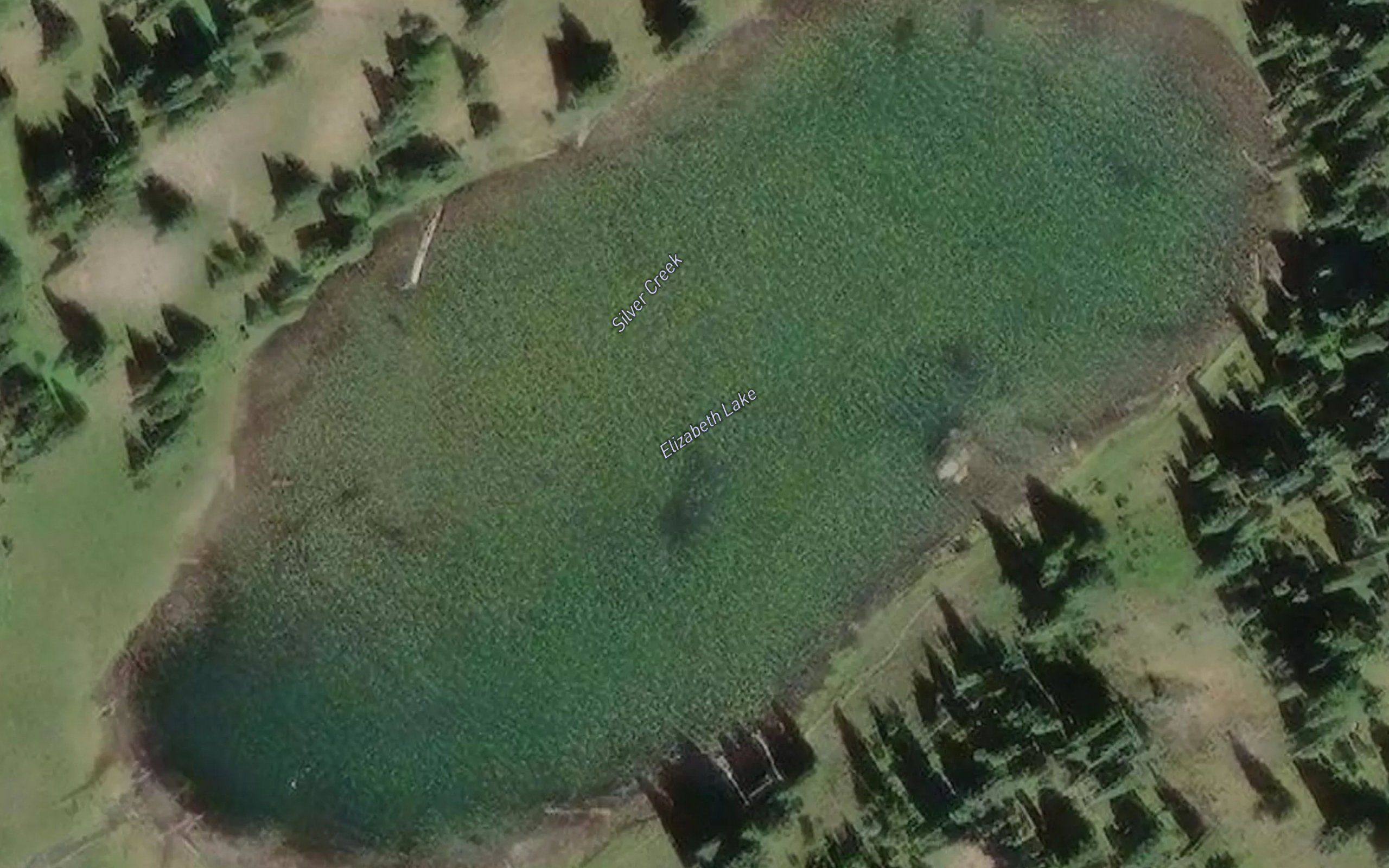 Elizabeth Lake
