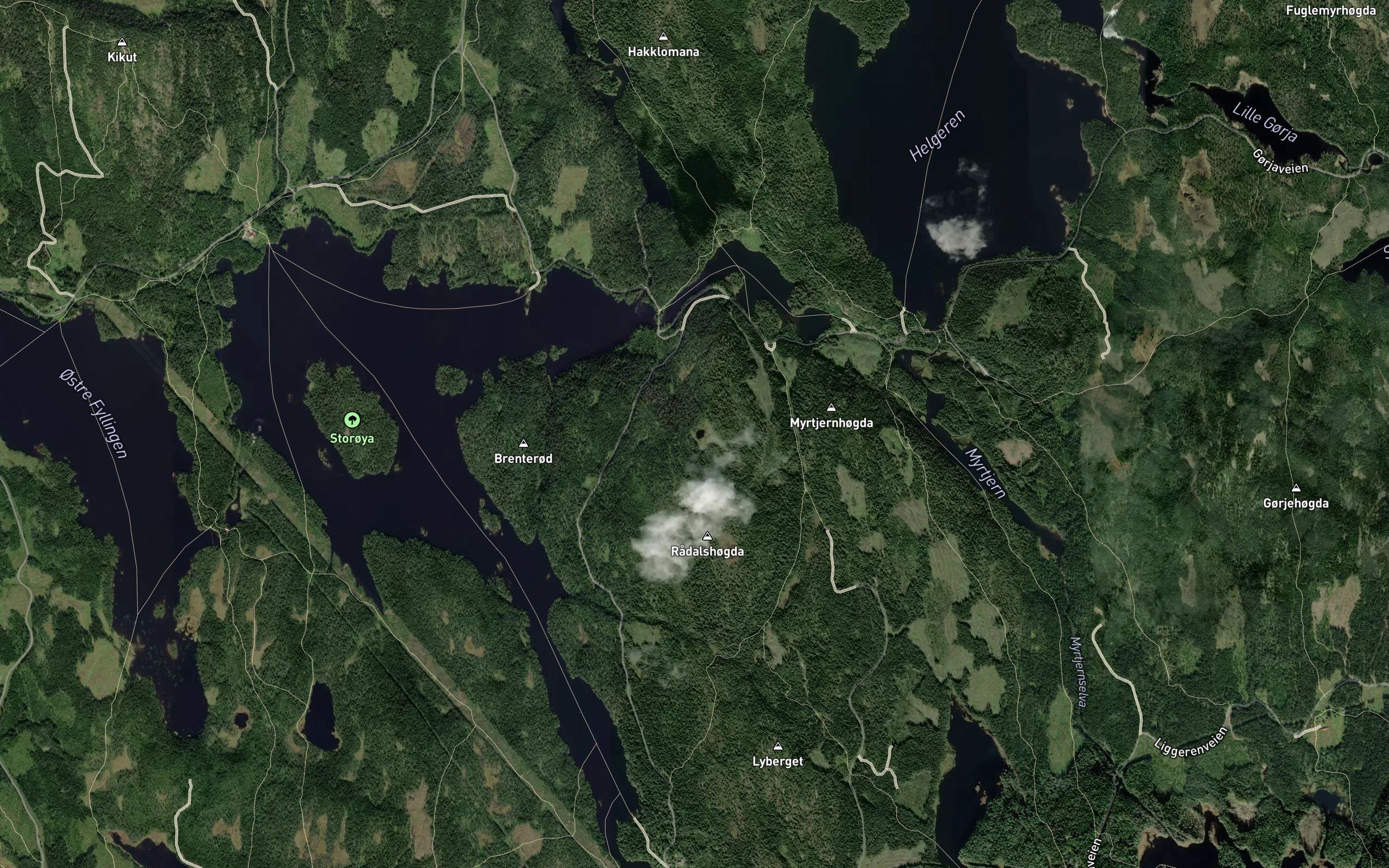 Elgtjernet