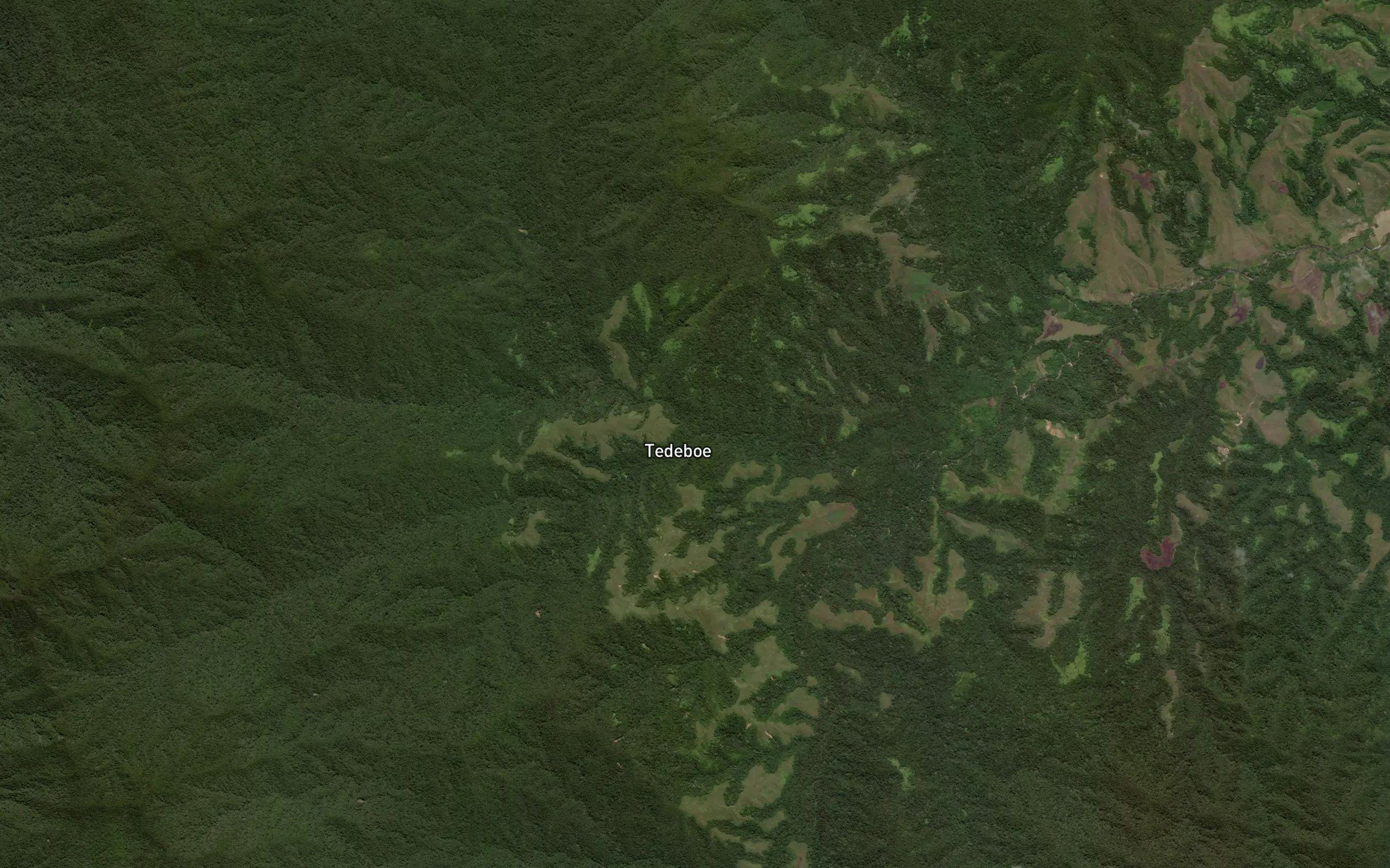 Halu Kohimpo