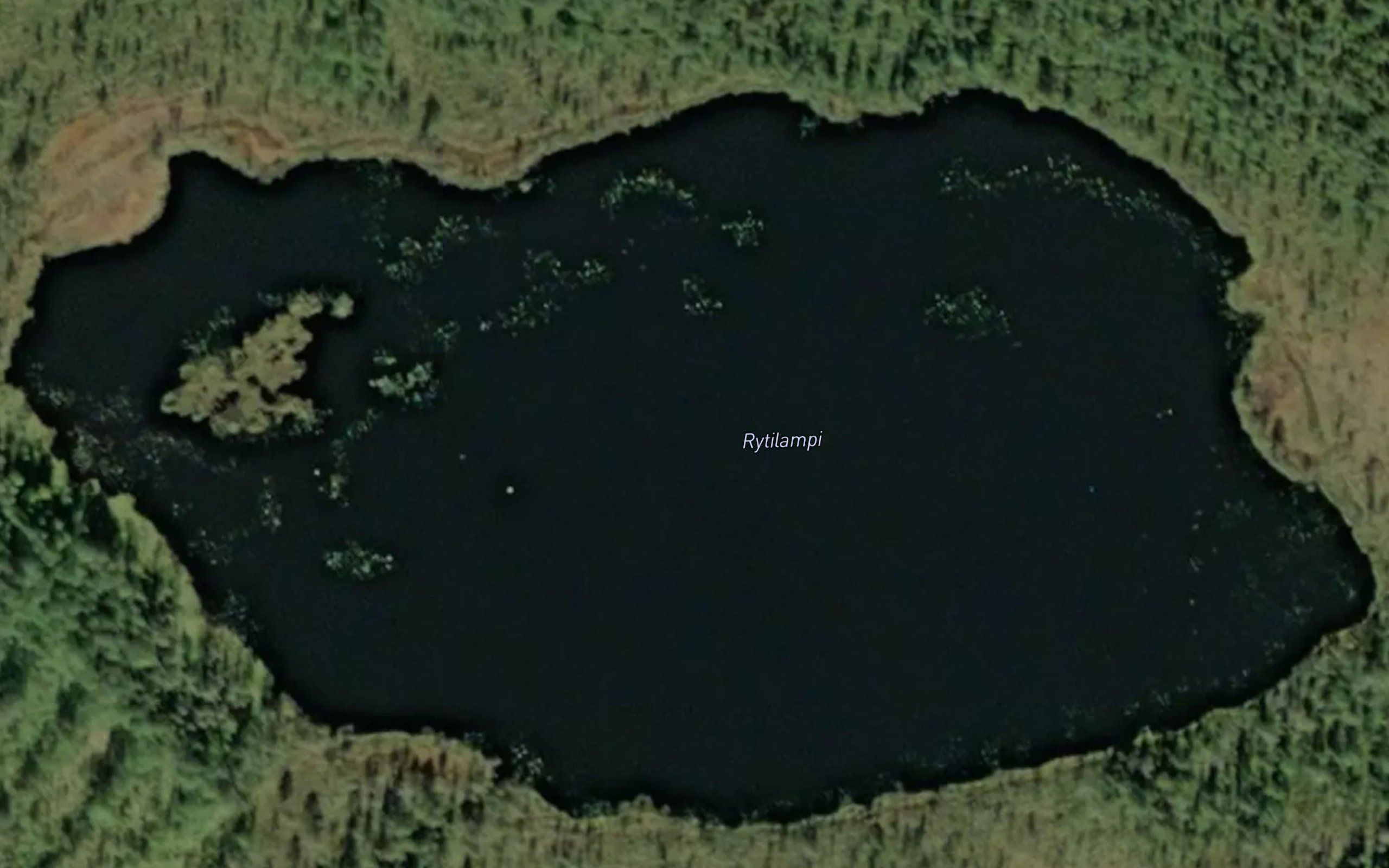 Rytilampi
