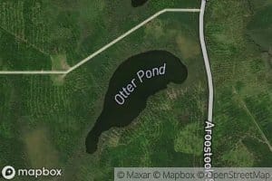Otter Pond