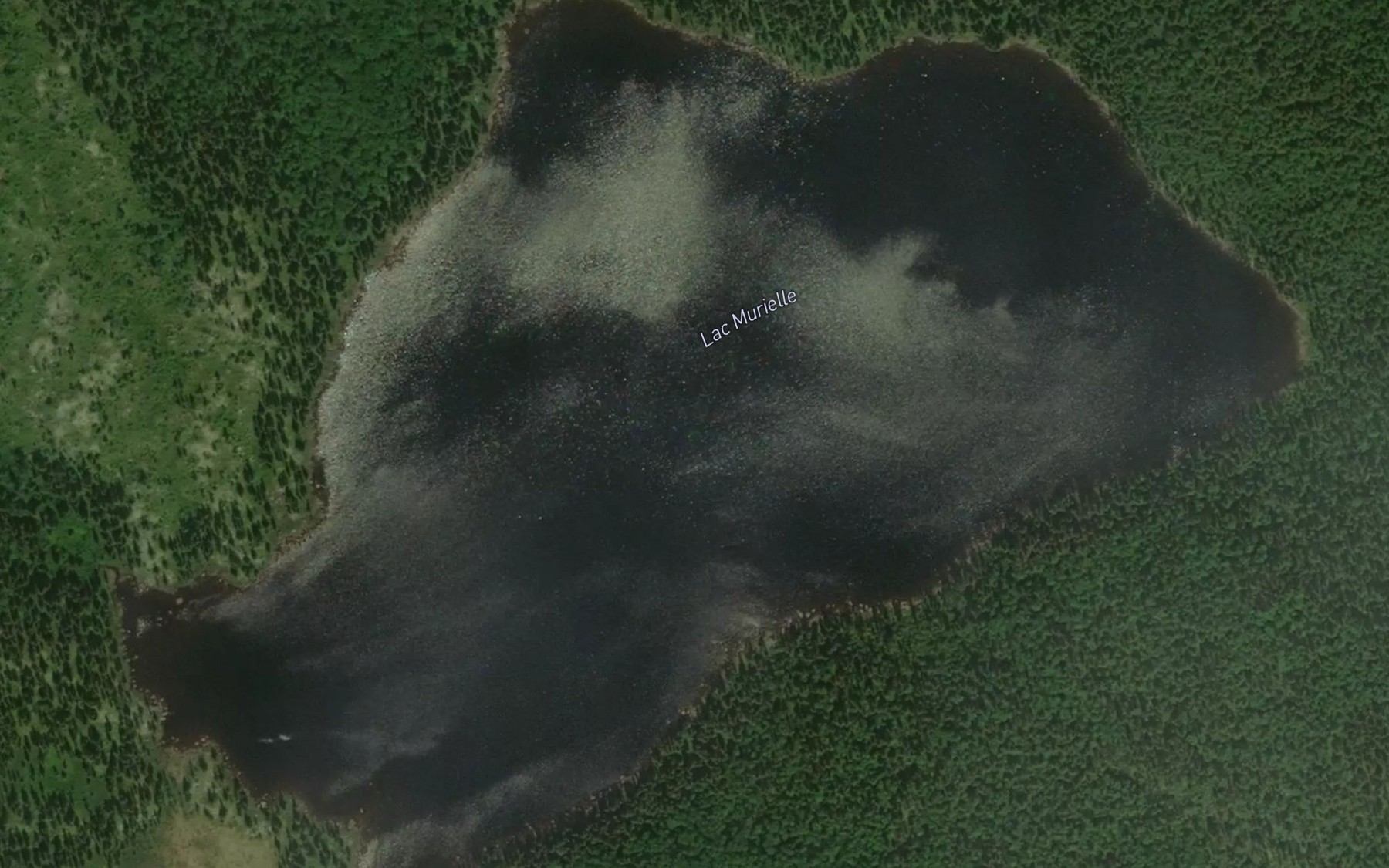 Satellite map of the Lac Murielle