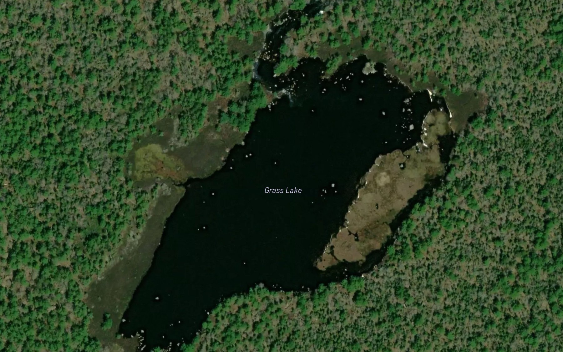 Satellite map of the Grass Lake