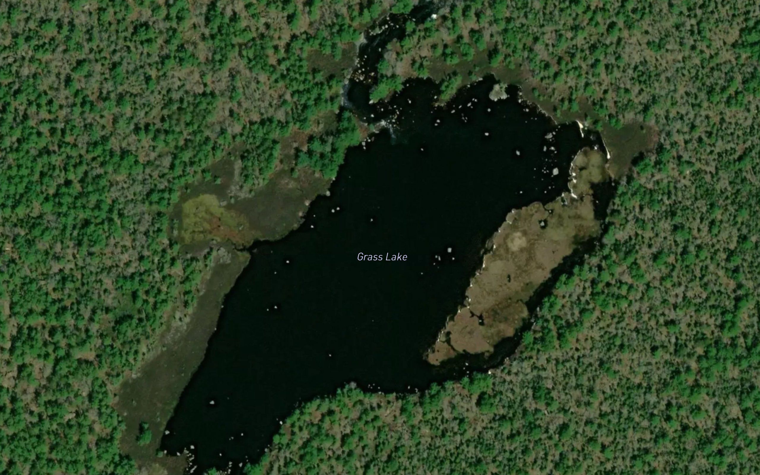 Grass Lake