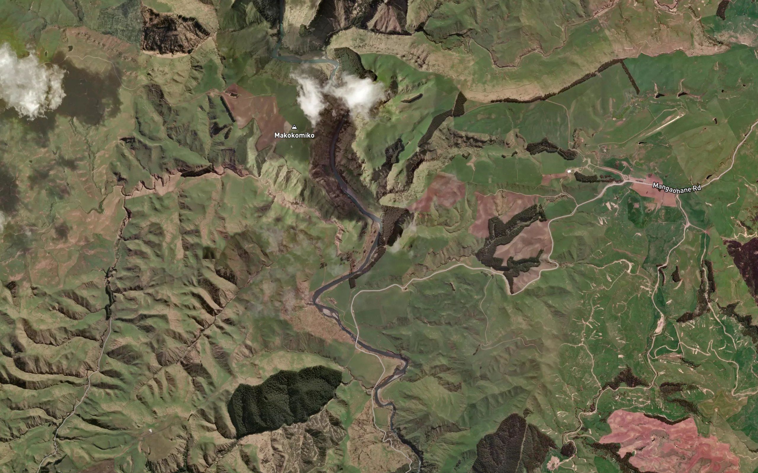 Waiakaha Stream
