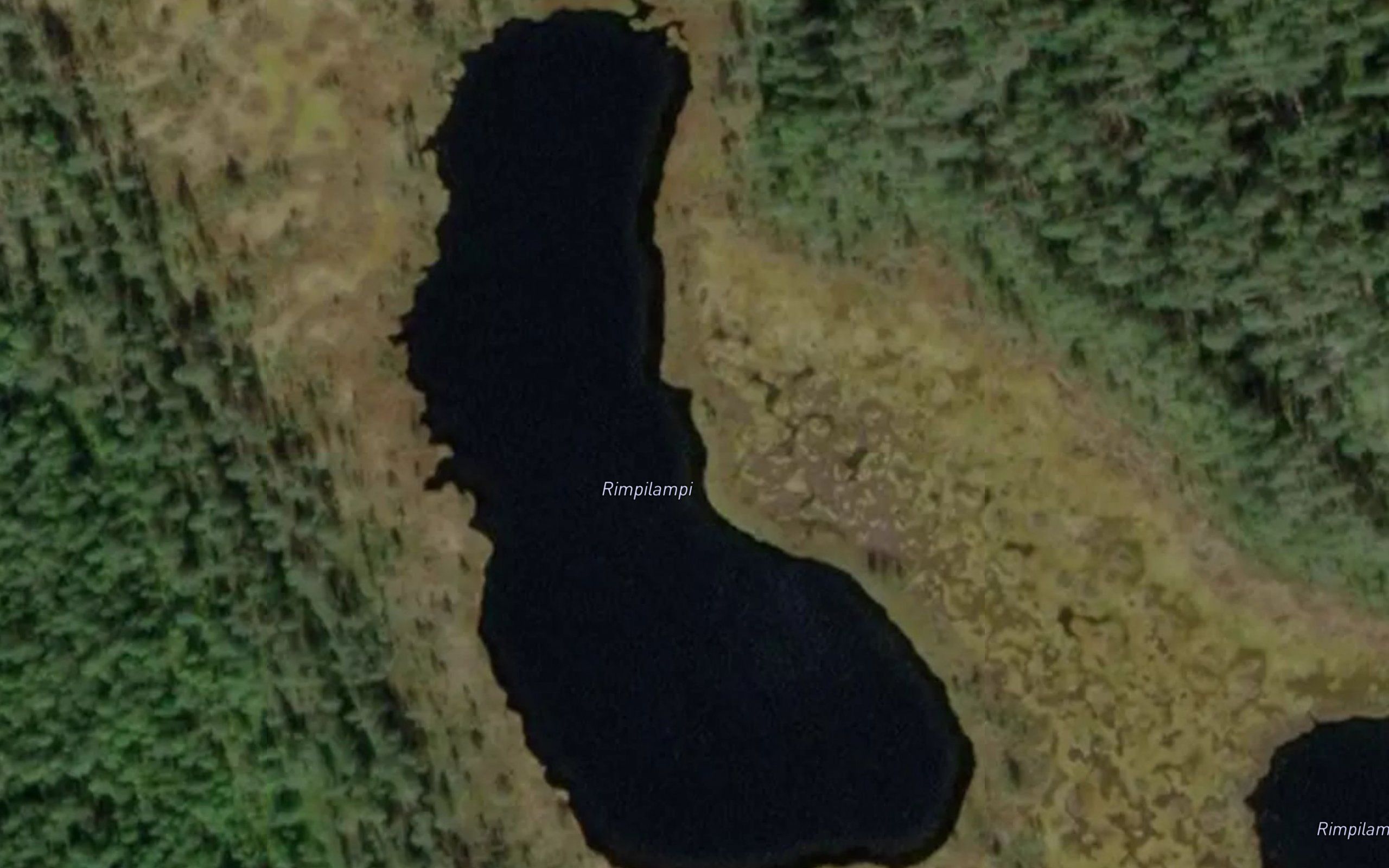 Rimpilammit