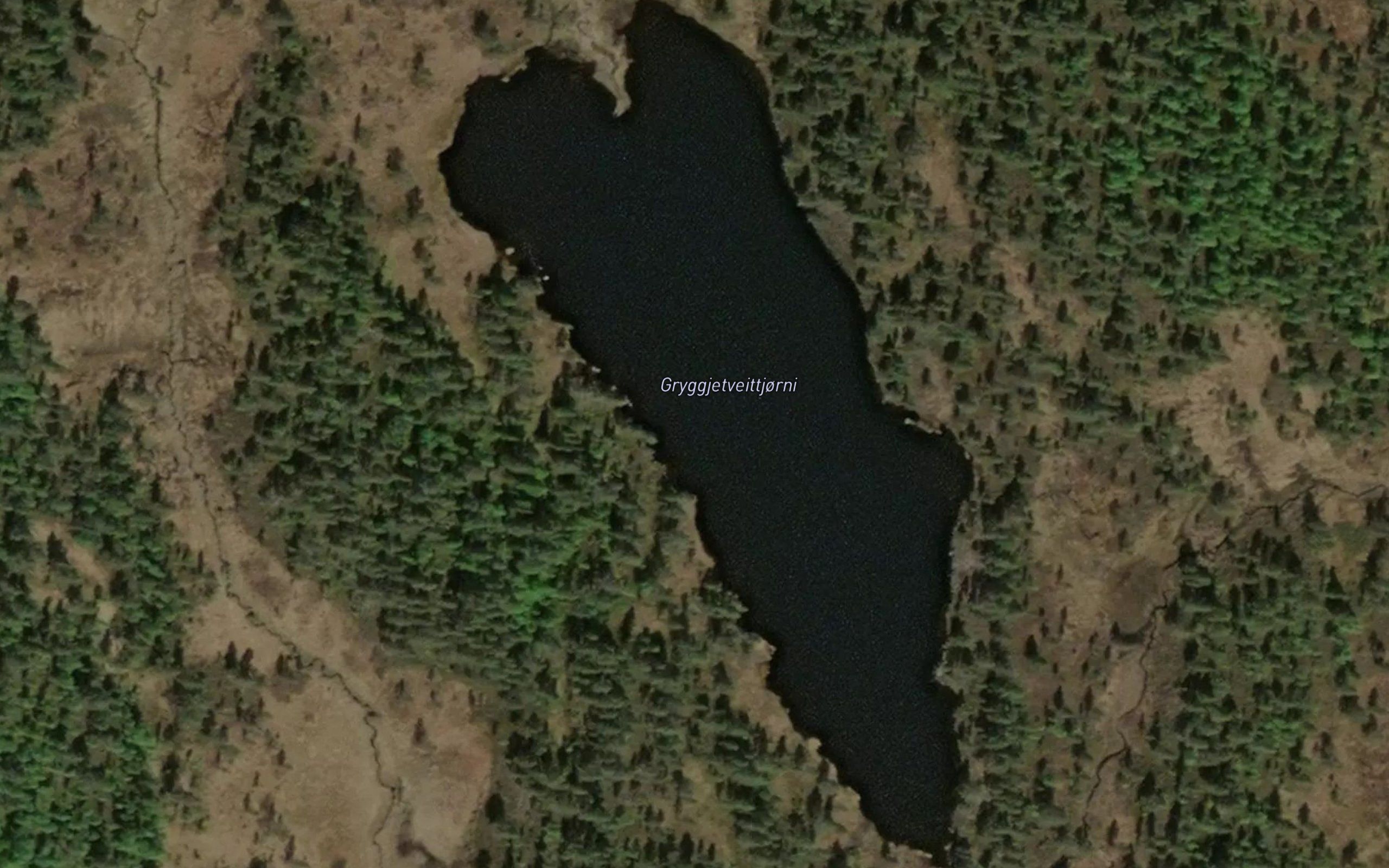 Gryggjetveitstjonni