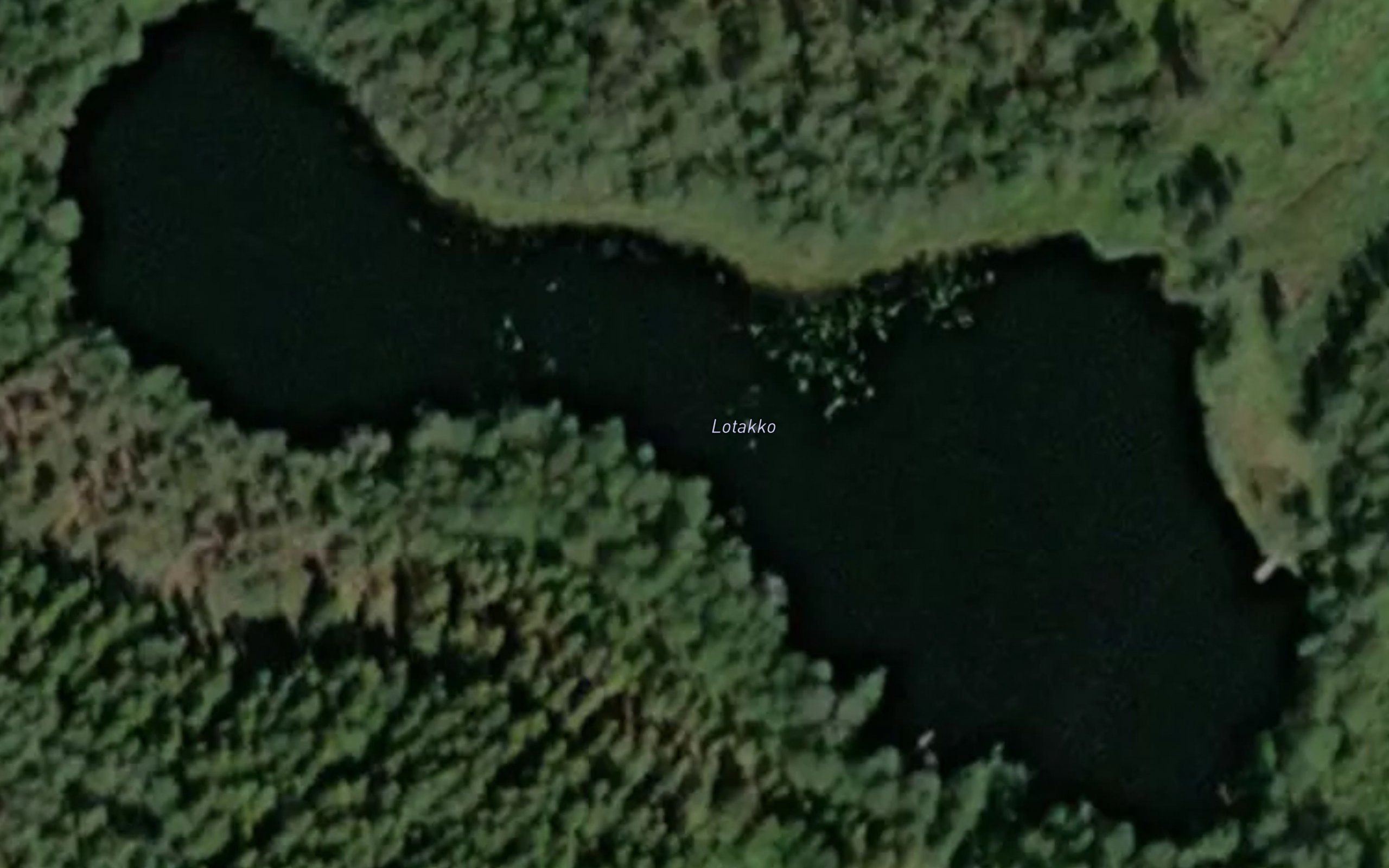 Lotakko