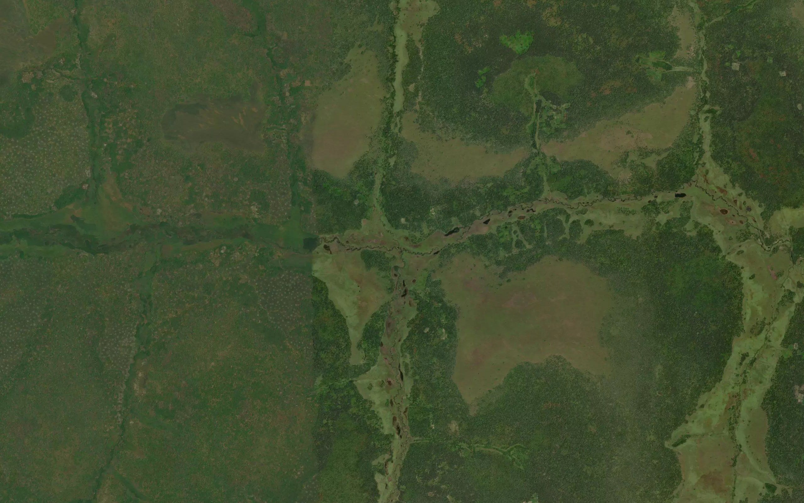 Tshifwa