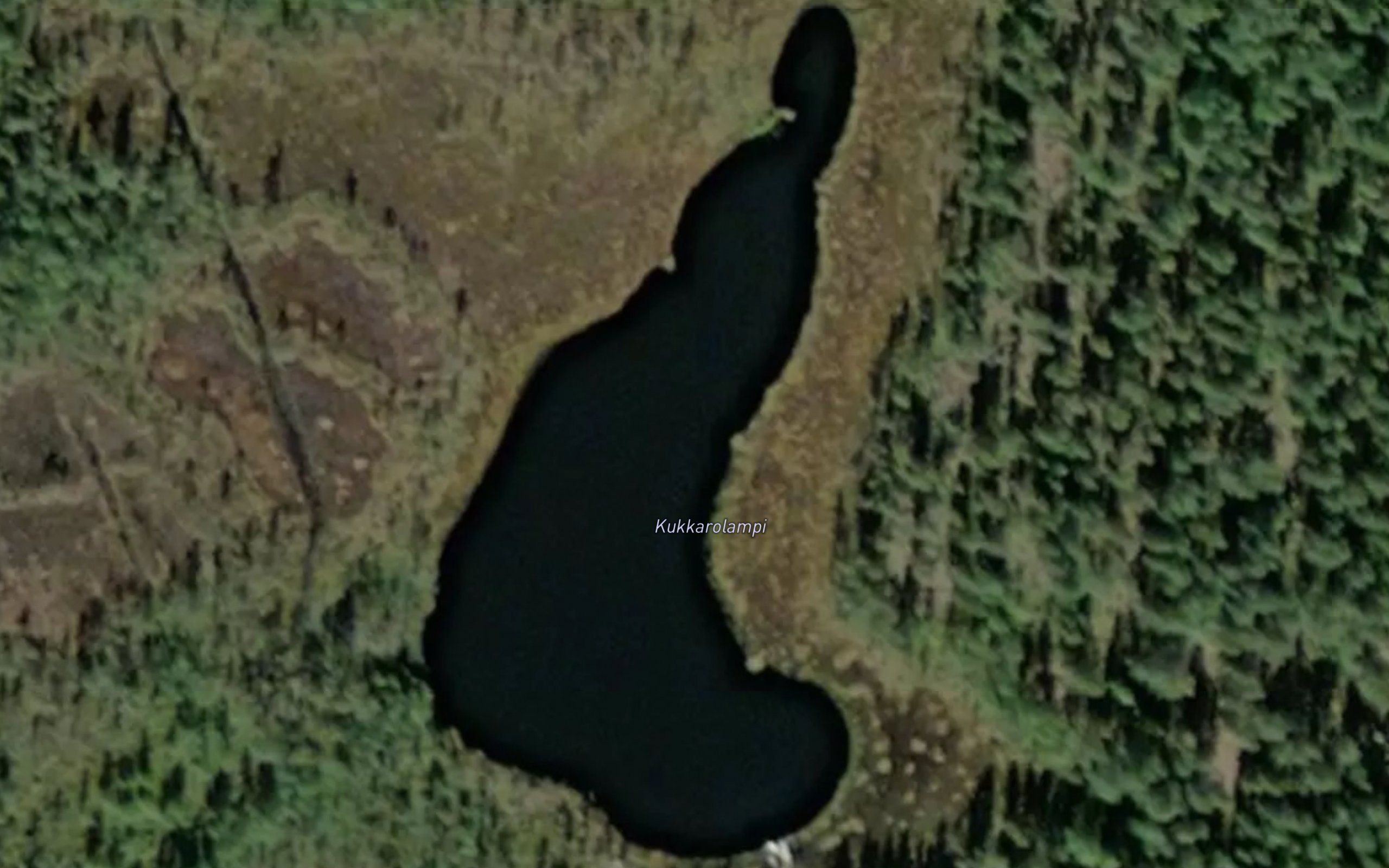Kukkarolampi