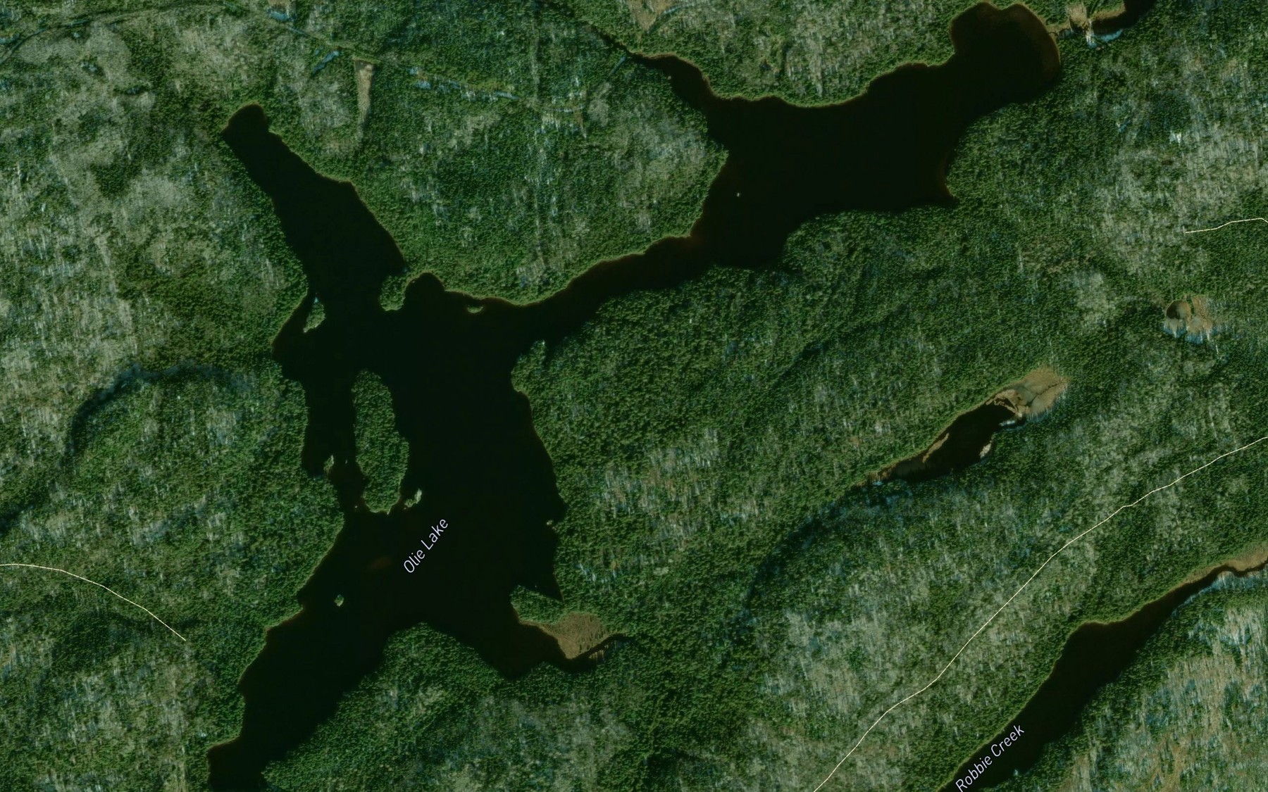 Satellite map of the Olie Lake