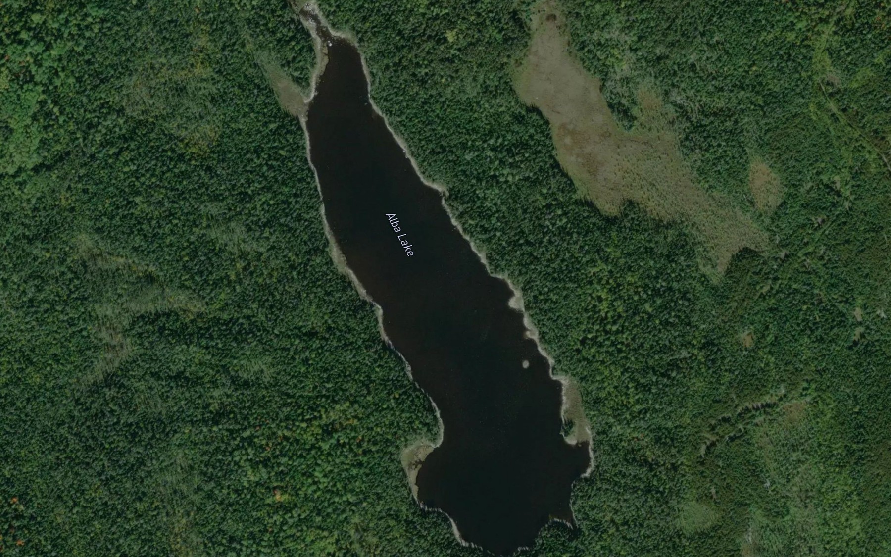 Satellite map of the Alba Lake