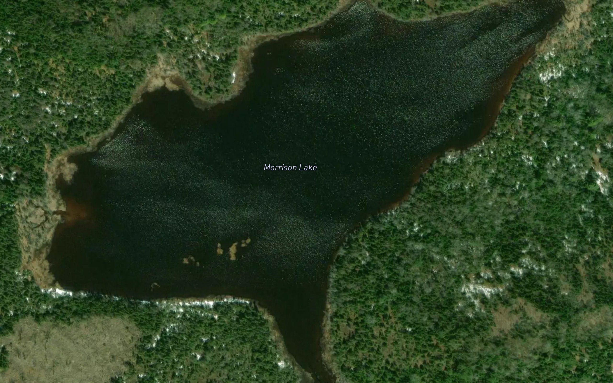 Morrison Lake