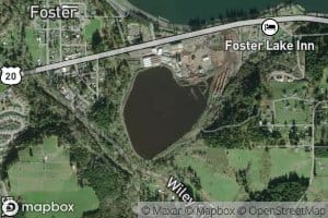 Willamette Log Pond